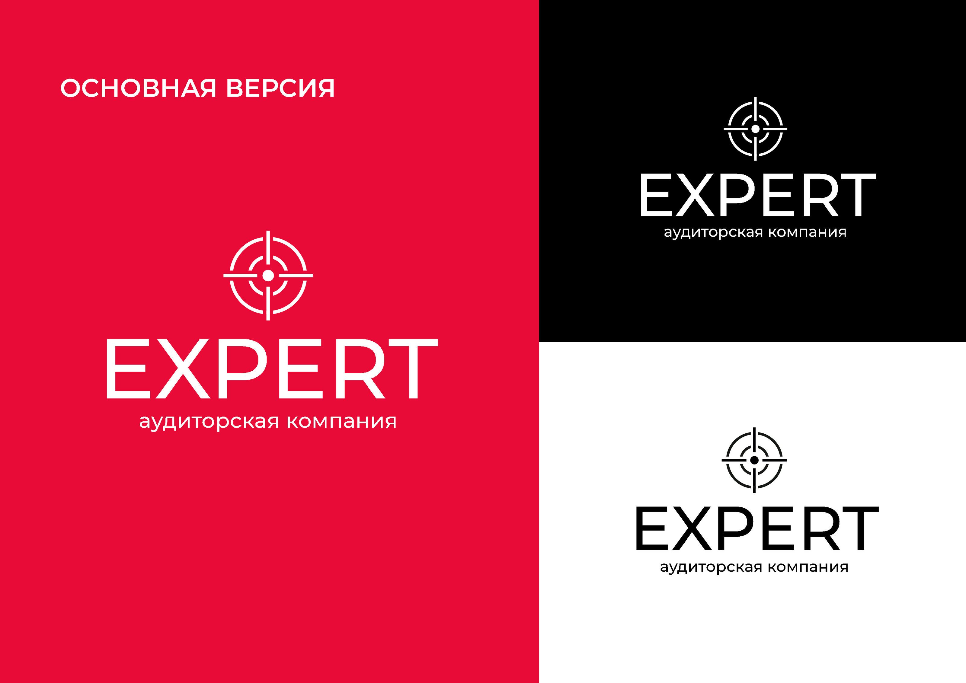 Логотип аудиторской компании — Изображение №7 — Брендинг на Dprofile