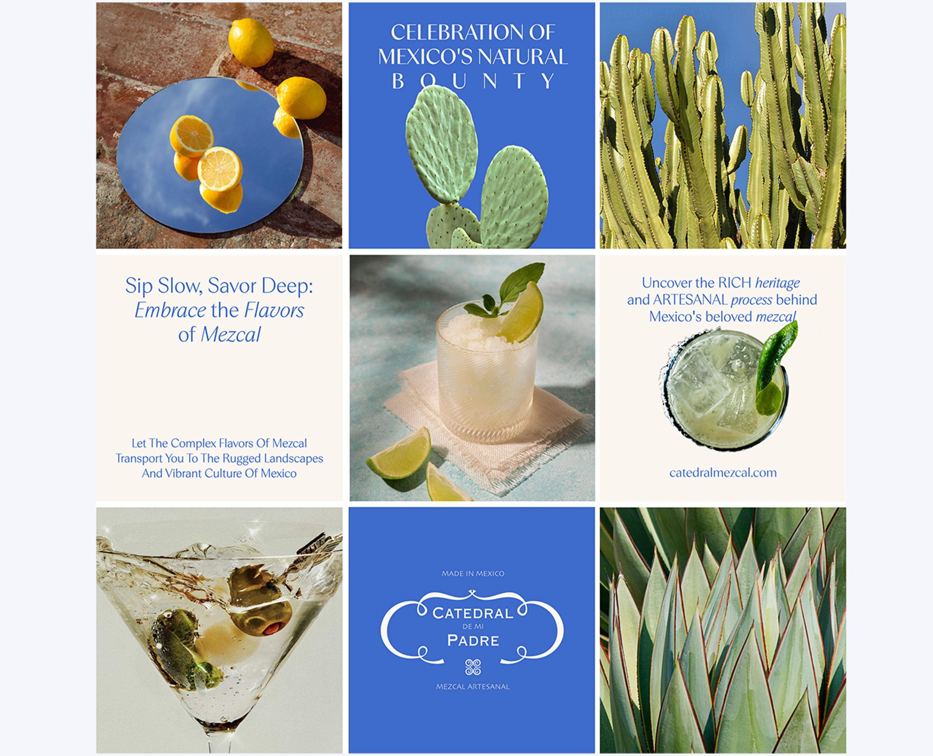 Mezcal artesanal на Dprofile