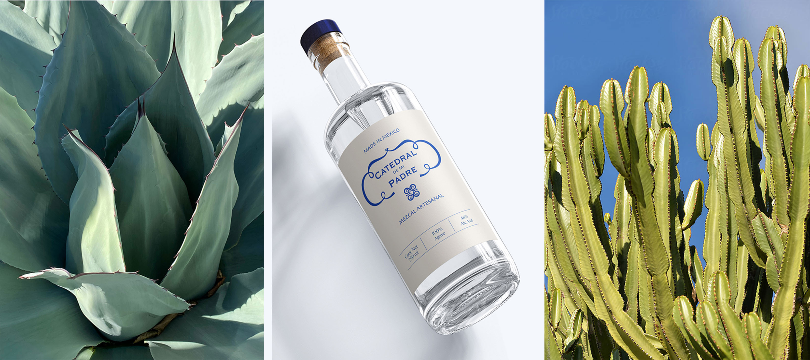 Mezcal artesanal — Изображение №2 — Брендинг, Иллюстрация на Dprofile