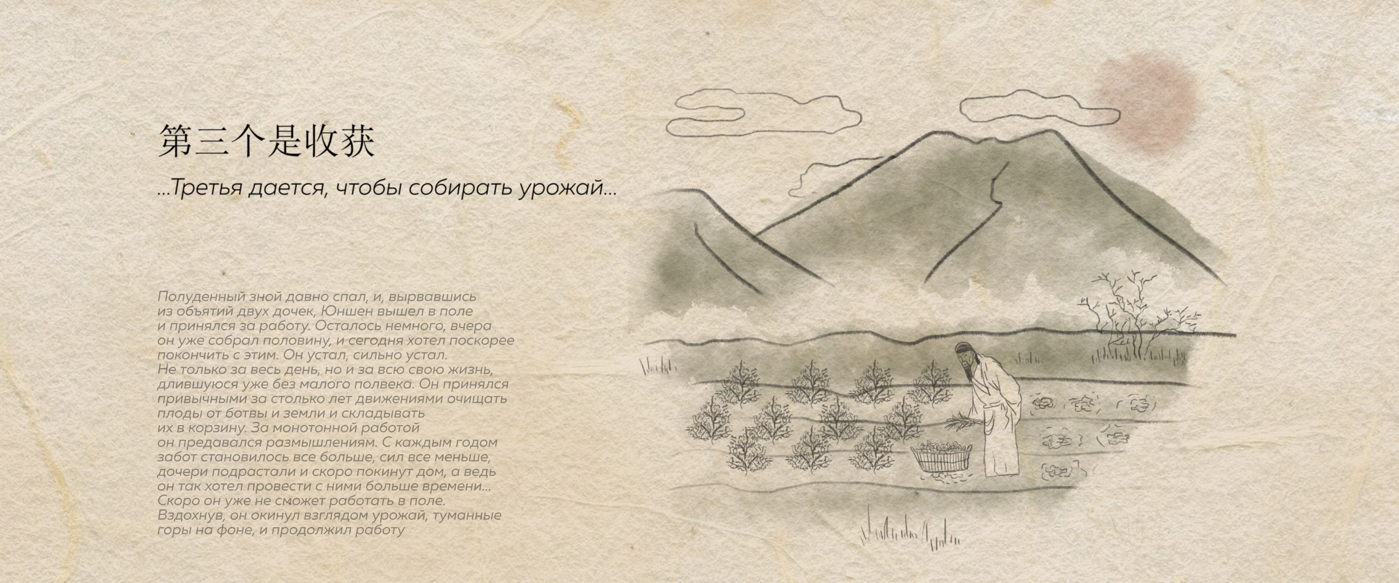 Дизайн упаковки Шэн Пуэра — Изображение №6 — Брендинг, Иллюстрация на Dprofile