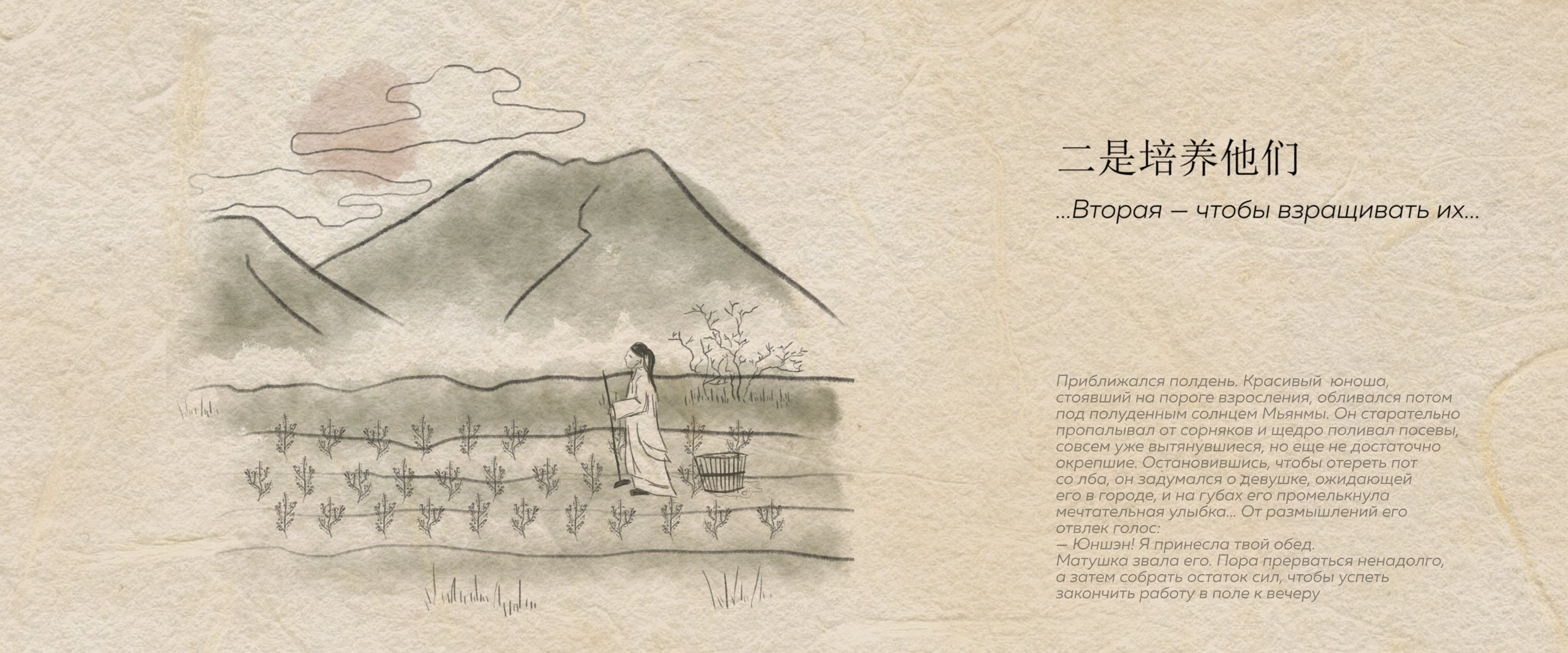 Дизайн упаковки Шэн Пуэра — Изображение №5 — Брендинг, Иллюстрация на Dprofile