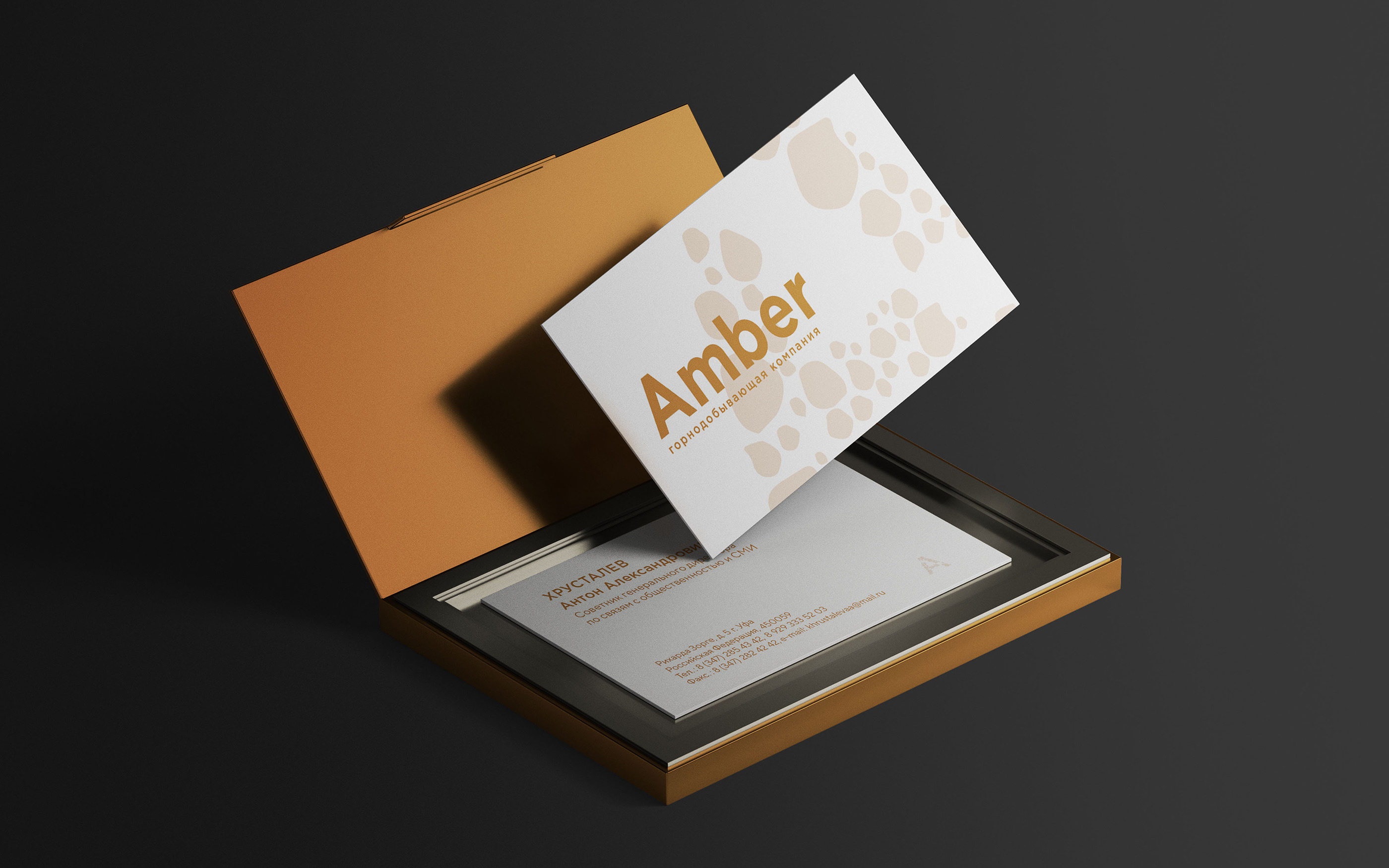 PROJECT AMBER — Изображение №13 — Брендинг, Графика на Dprofile