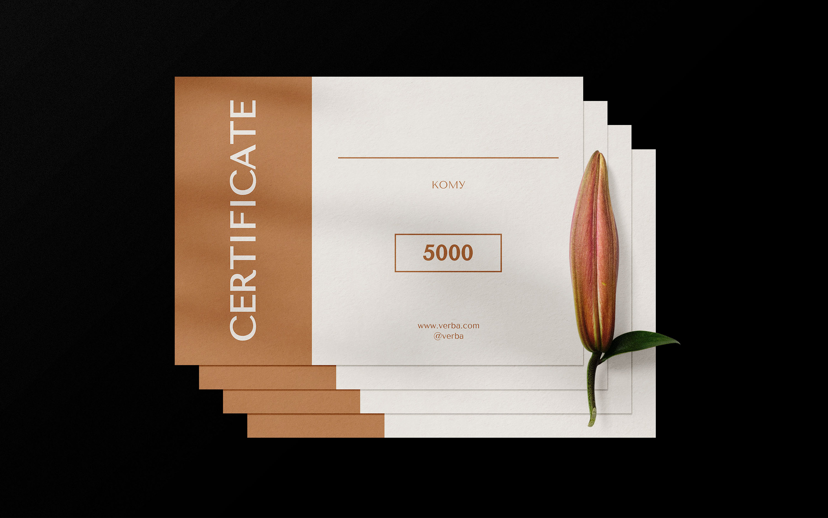 PROJECT FLOWER — Изображение №6 — Брендинг на Dprofile