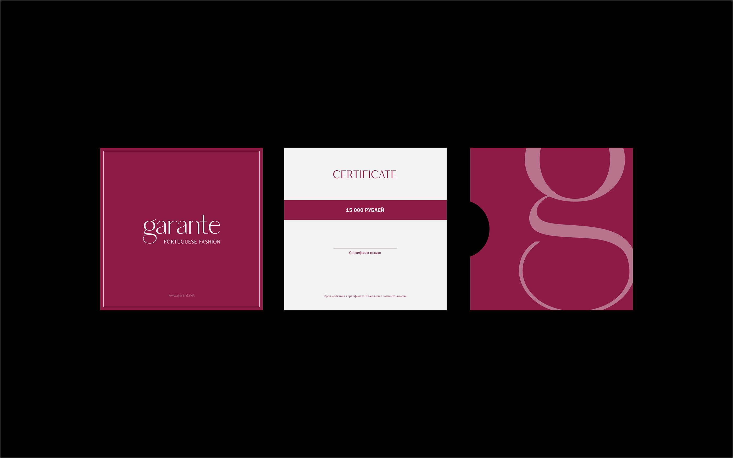 PROJECT GARANTE — Изображение №6 — Брендинг на Dprofile