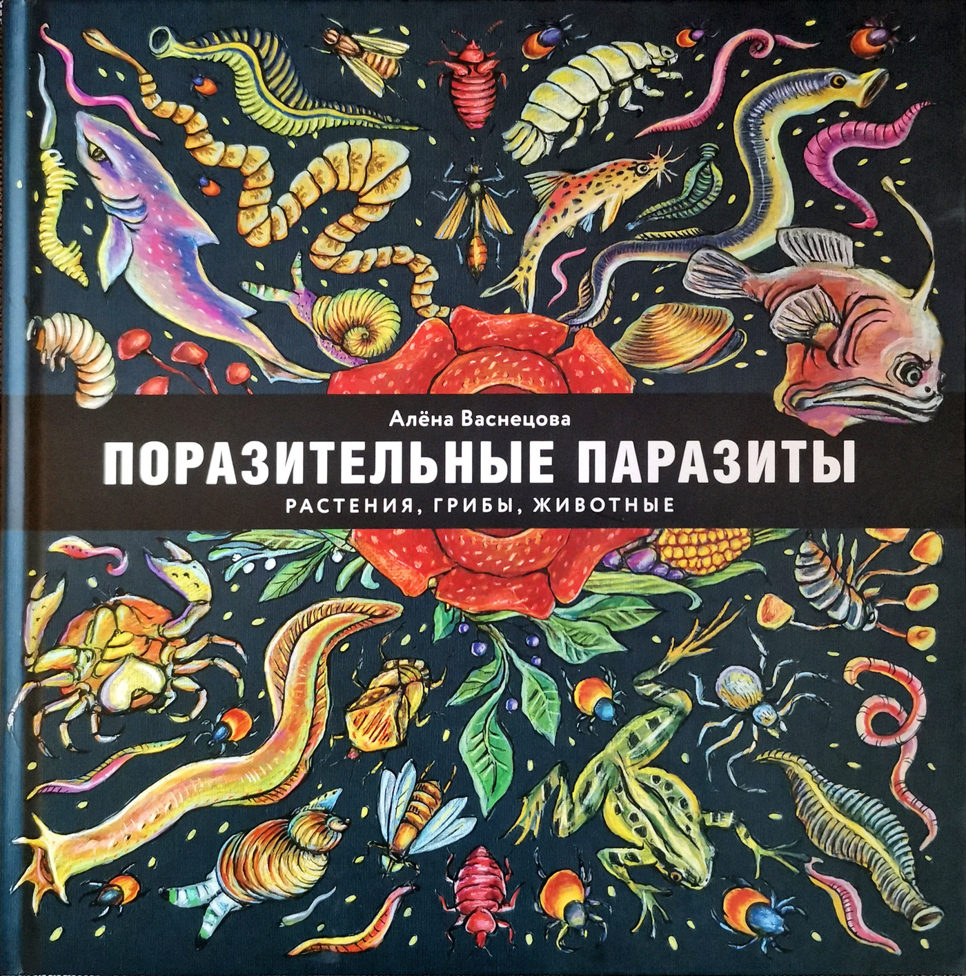 Amazing parasites — Изображение №25 — Иллюстрация, Графика на Dprofile