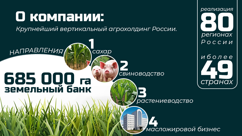 Учебный проект: мерч для компании Русагро — Изображение №2 — Брендинг на Dprofile