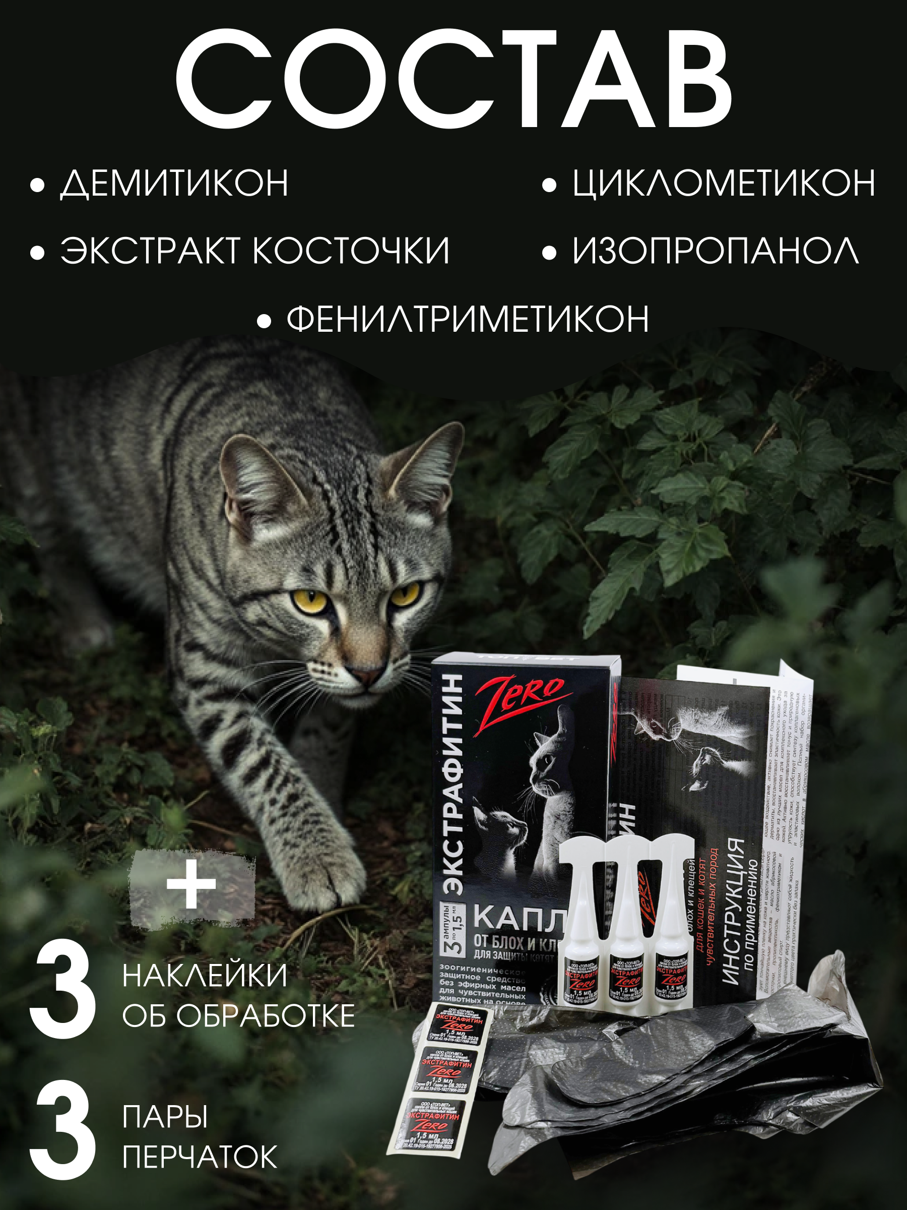 Инфографика | карточки товара — Изображение №14 — Графика на Dprofile