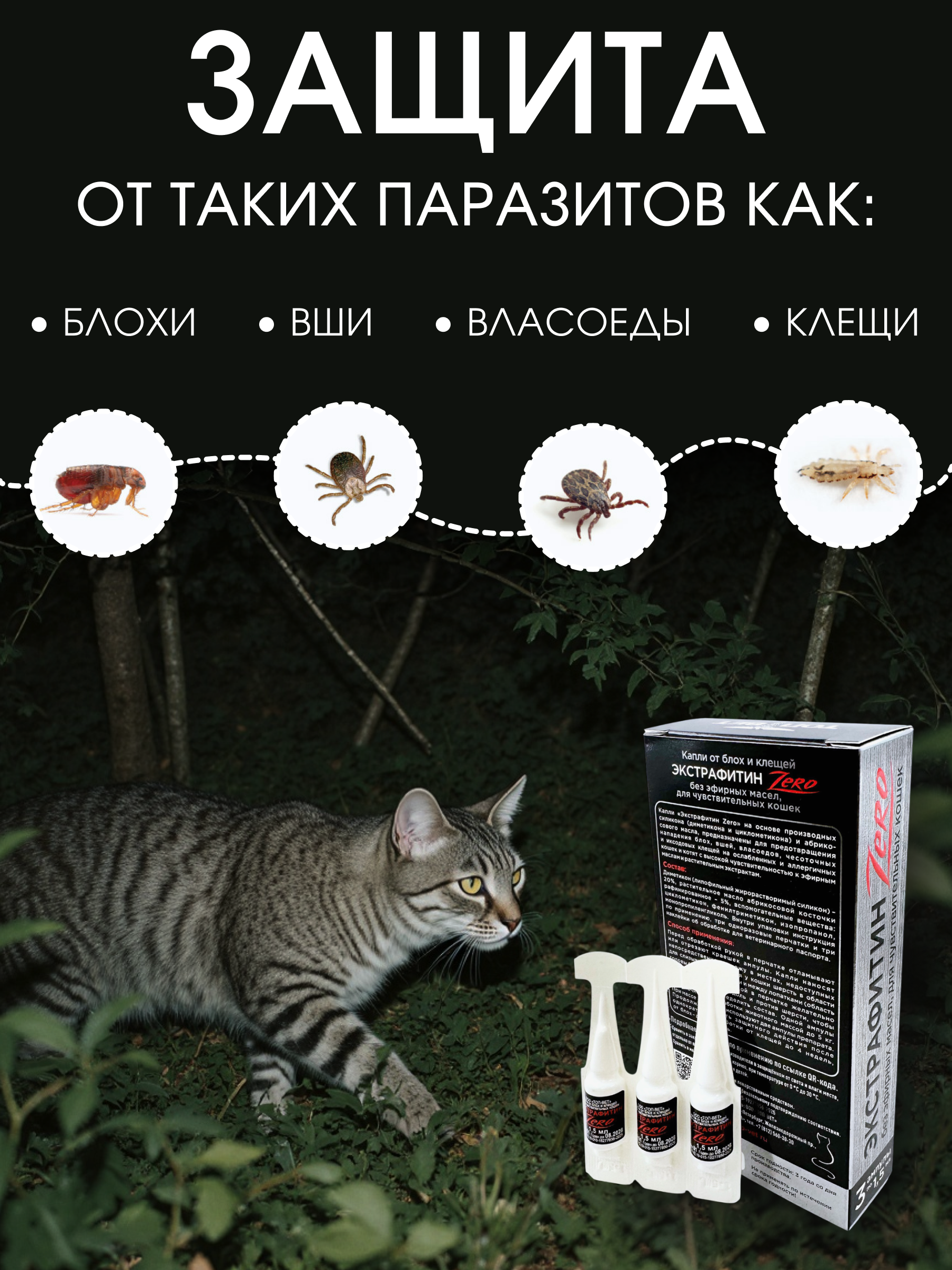 Инфографика | карточки товара — Изображение №12 — Графика на Dprofile