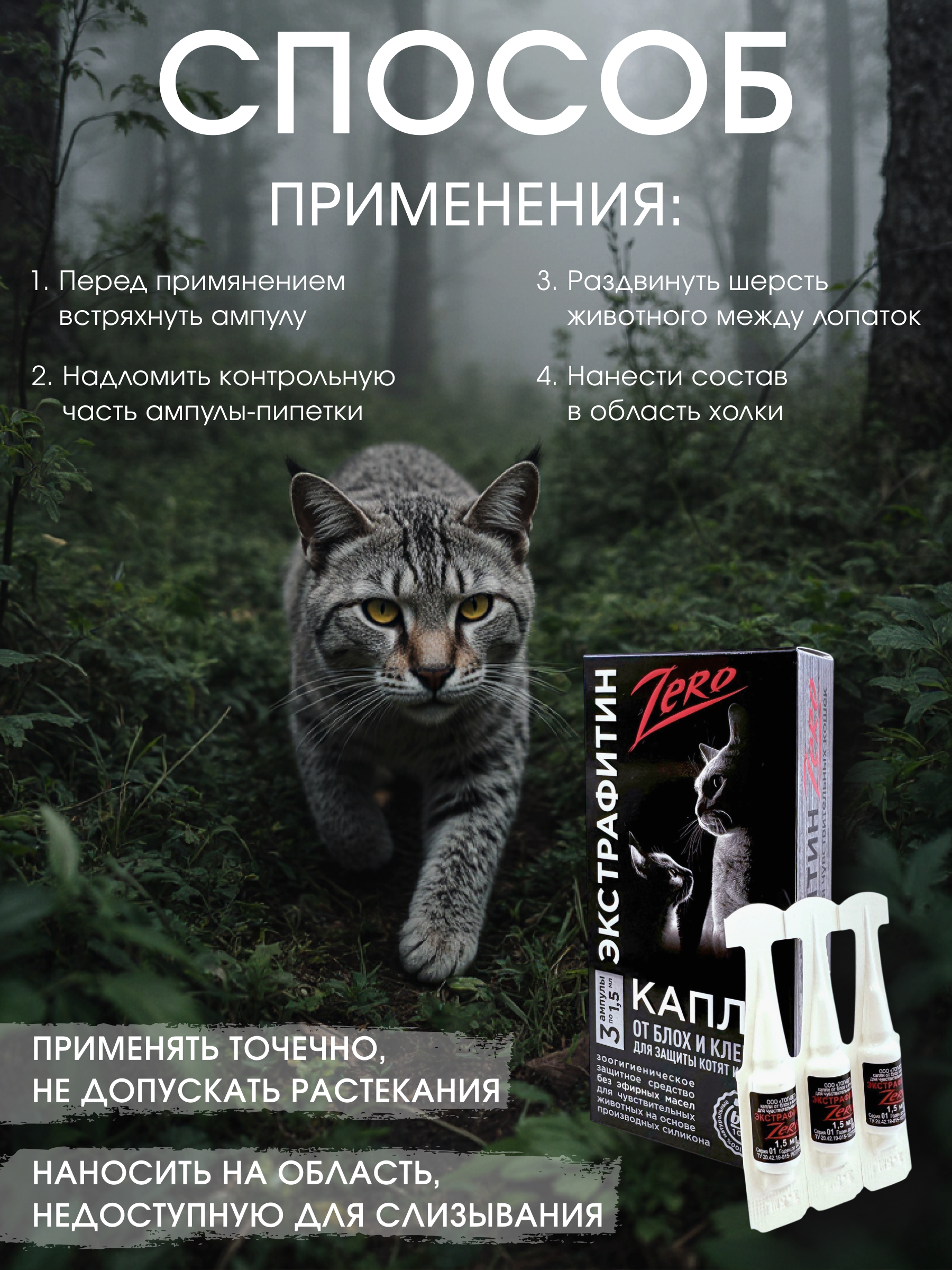 Инфографика | карточки товара — Изображение №13 — Графика на Dprofile