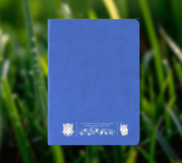 Графдизайн для лагеря-семинара Поколение 21 — Изображение №6 — Графика на Dprofile