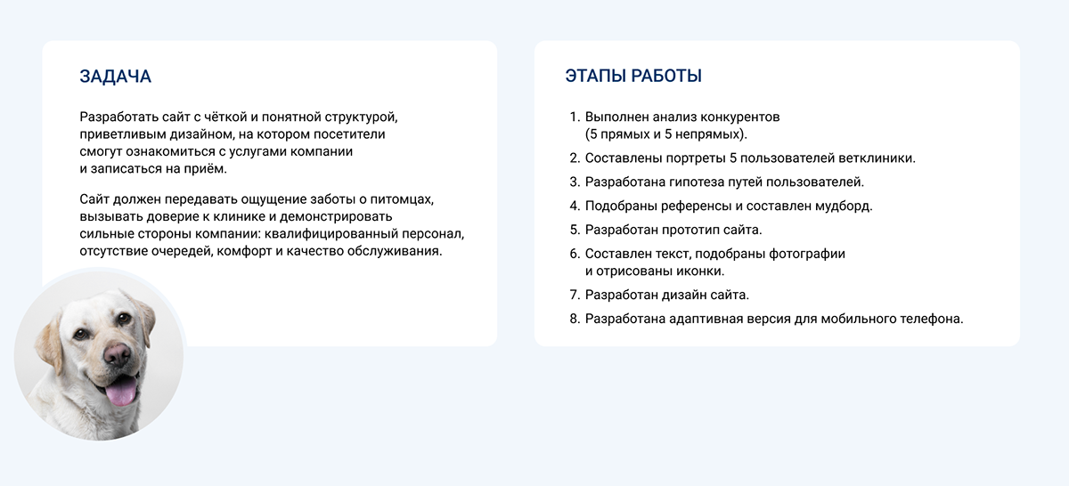 Сайт для ветеринарной клиники — Изображение №3 — Брендинг на Dprofile