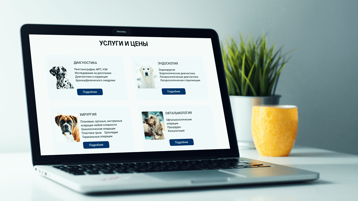 Сайт для ветеринарной клиники — Изображение №9 — Брендинг на Dprofile