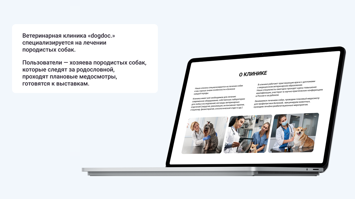 Сайт для ветеринарной клиники — Изображение №2 — Брендинг на Dprofile