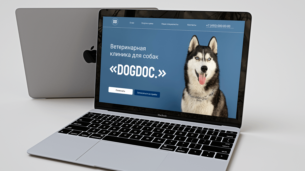 Сайт для ветеринарной клиники — Изображение №1 — Брендинг на Dprofile