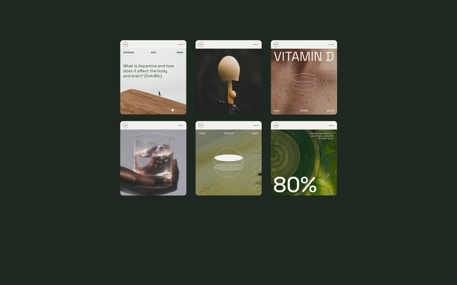 Wellly | Visual Identity — Изображение №3 — Брендинг на Dprofile