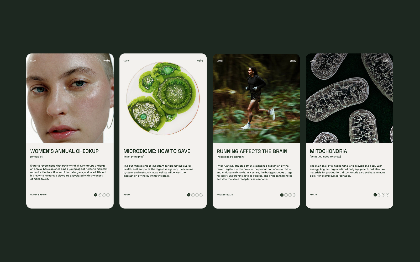 Wellly | Visual Identity — Изображение №2 — Брендинг на Dprofile