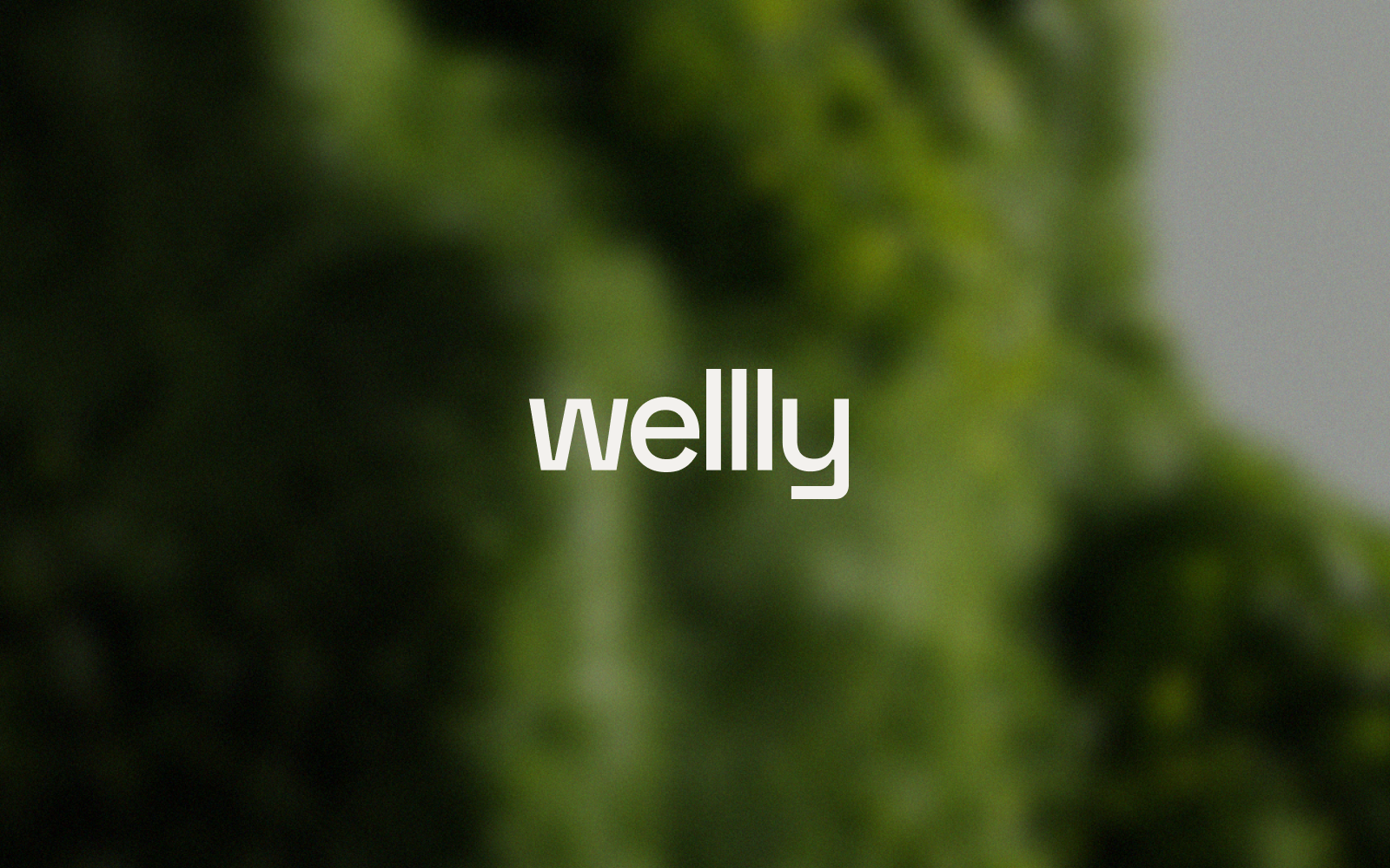 Wellly | Visual Identity — Изображение №1 — Брендинг на Dprofile