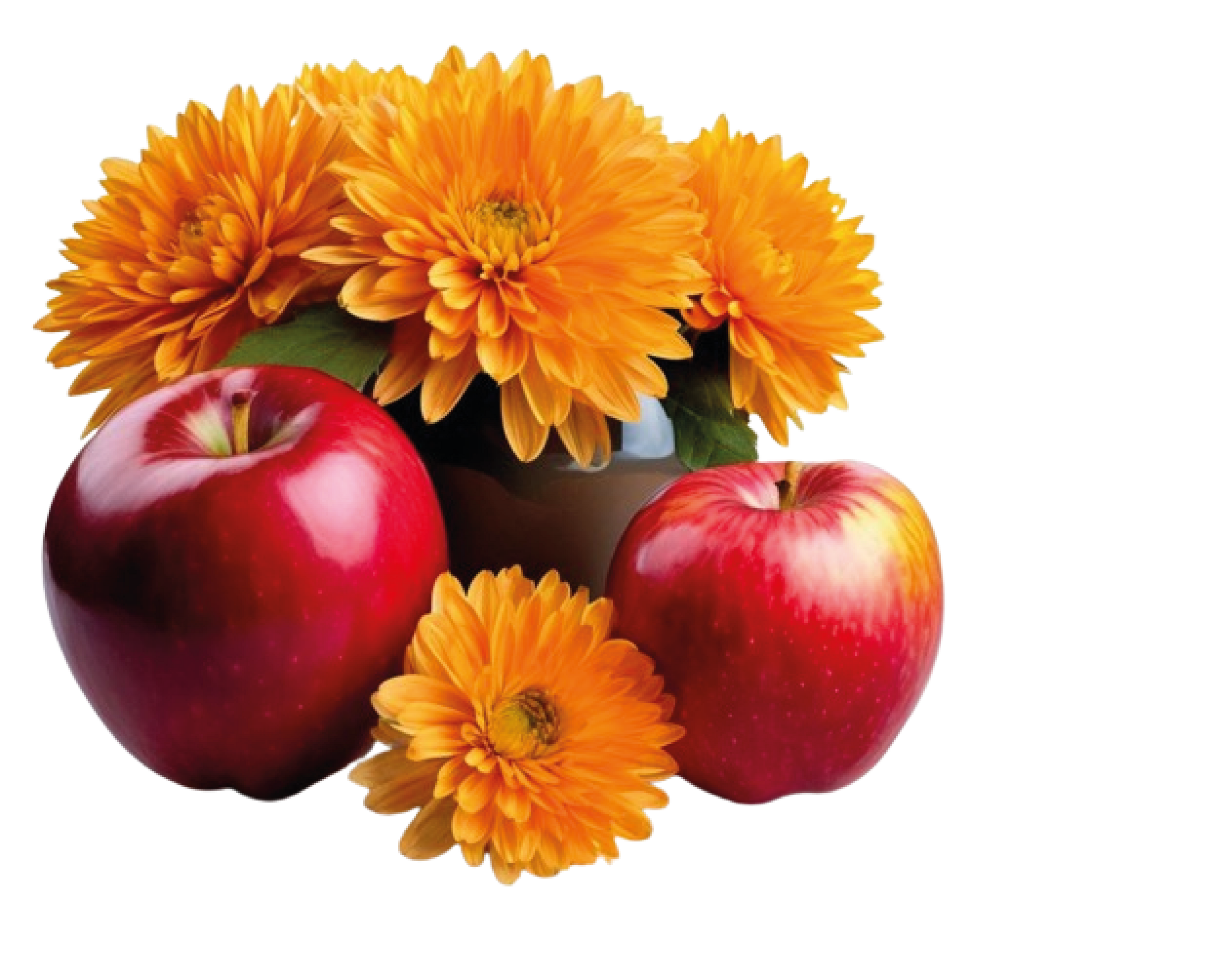 Дизайн карточки для волшебных яблочек — Изображение №1 — Графика, Маркетинг на Dprofile