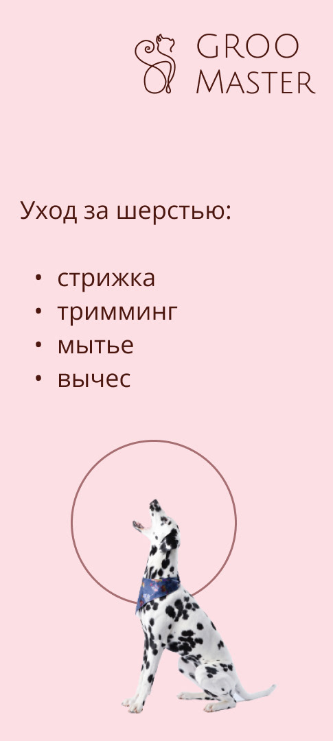 Design concept · GrooMaster — Изображение №5 — Брендинг, Маркетинг на Dprofile