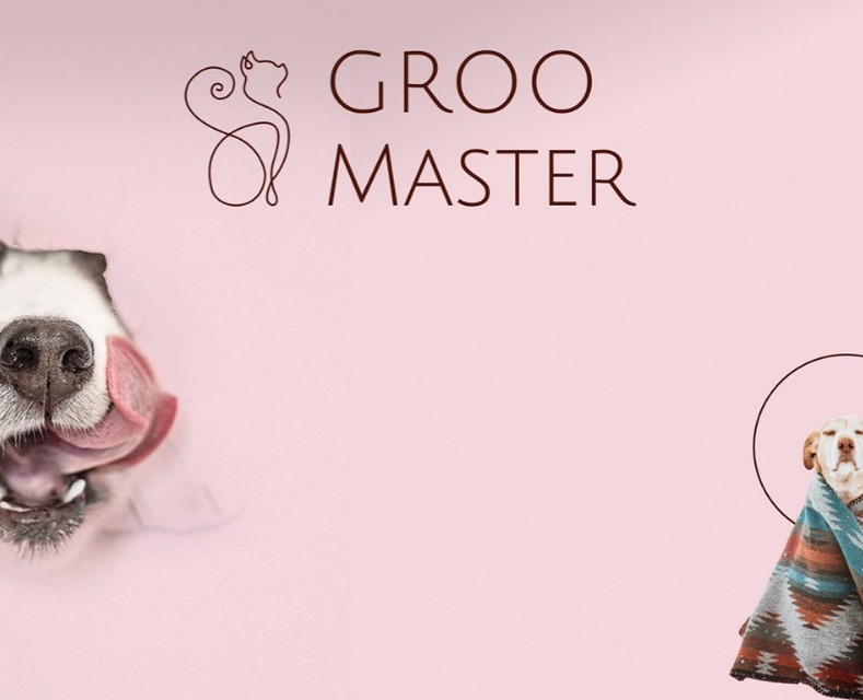 Design concept · GrooMaster на Dprofile