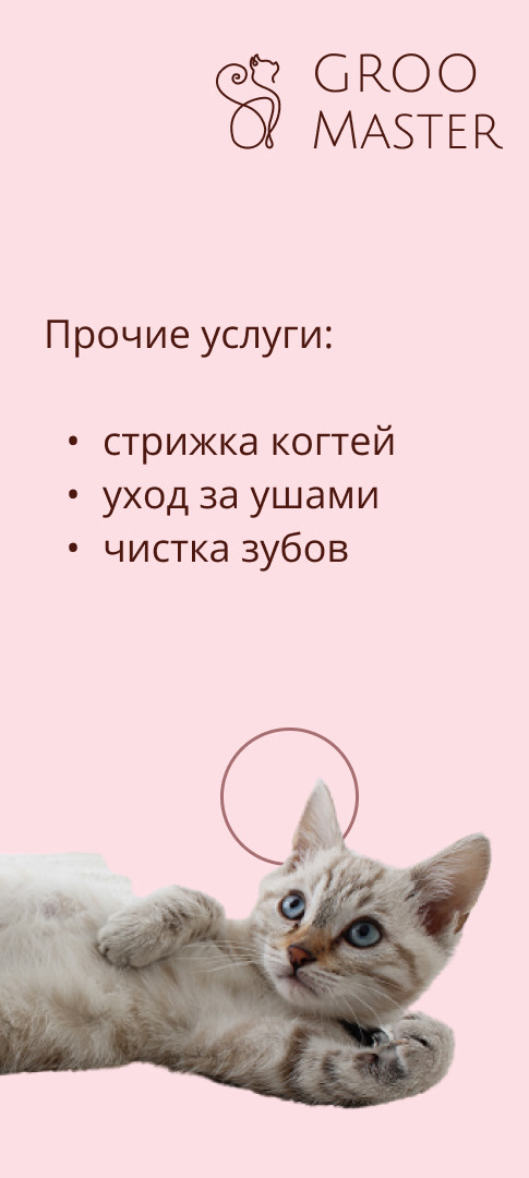 Design concept · GrooMaster — Изображение №4 — Брендинг, Маркетинг на Dprofile