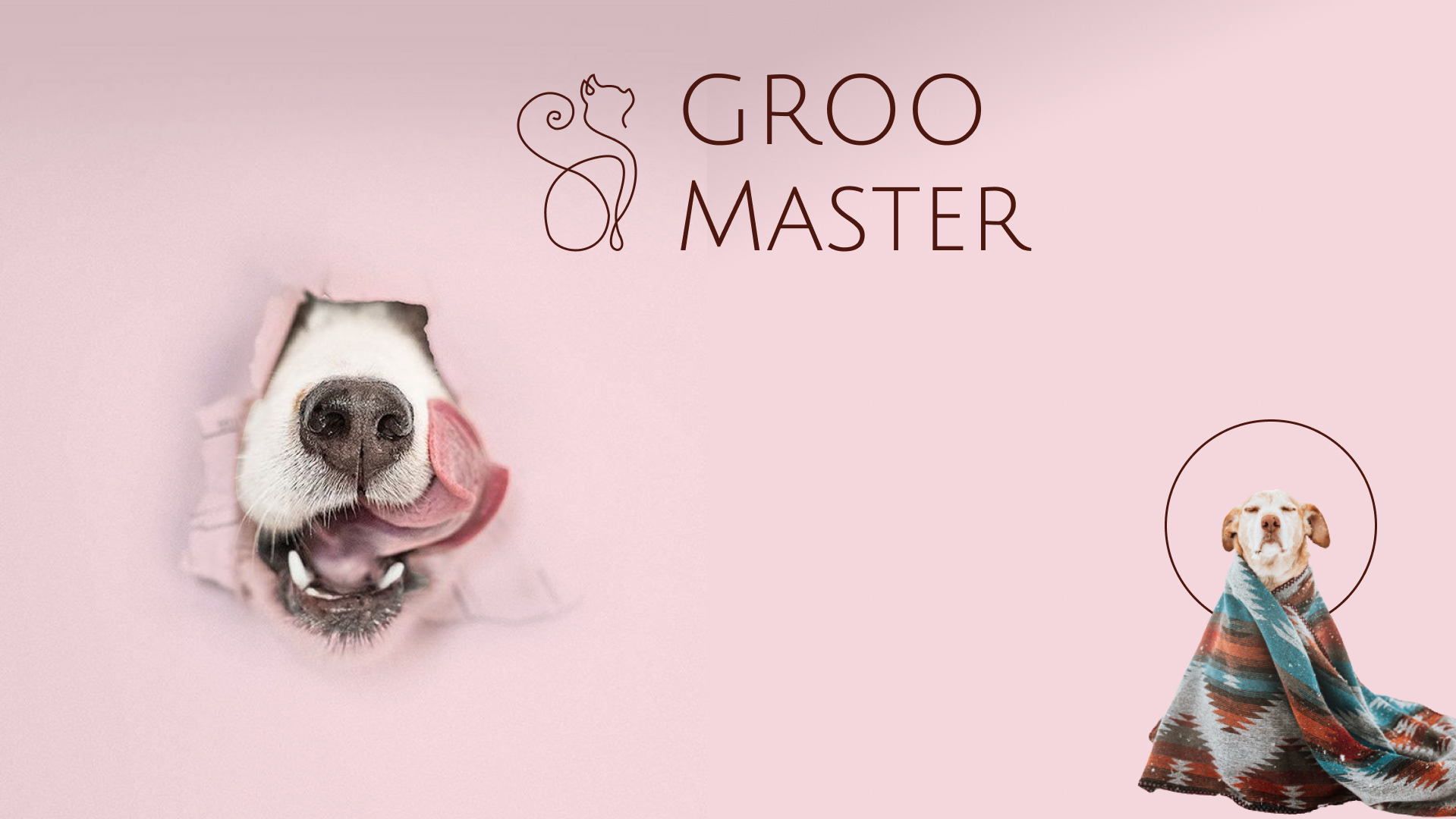 Design concept · GrooMaster — Изображение №1 — Брендинг, Маркетинг на Dprofile