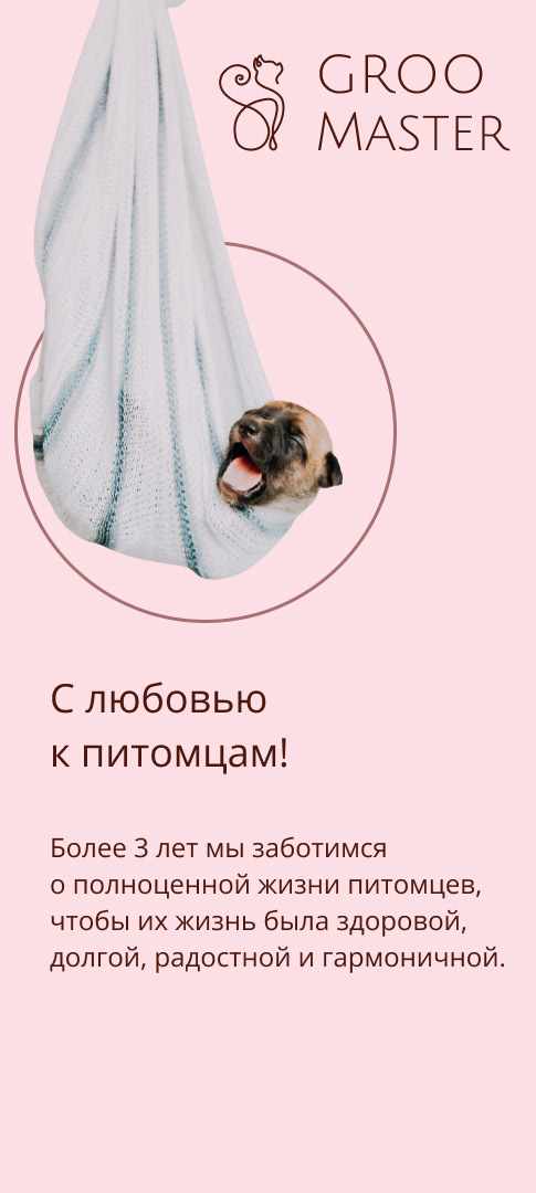 Design concept · GrooMaster — Изображение №3 — Брендинг, Маркетинг на Dprofile