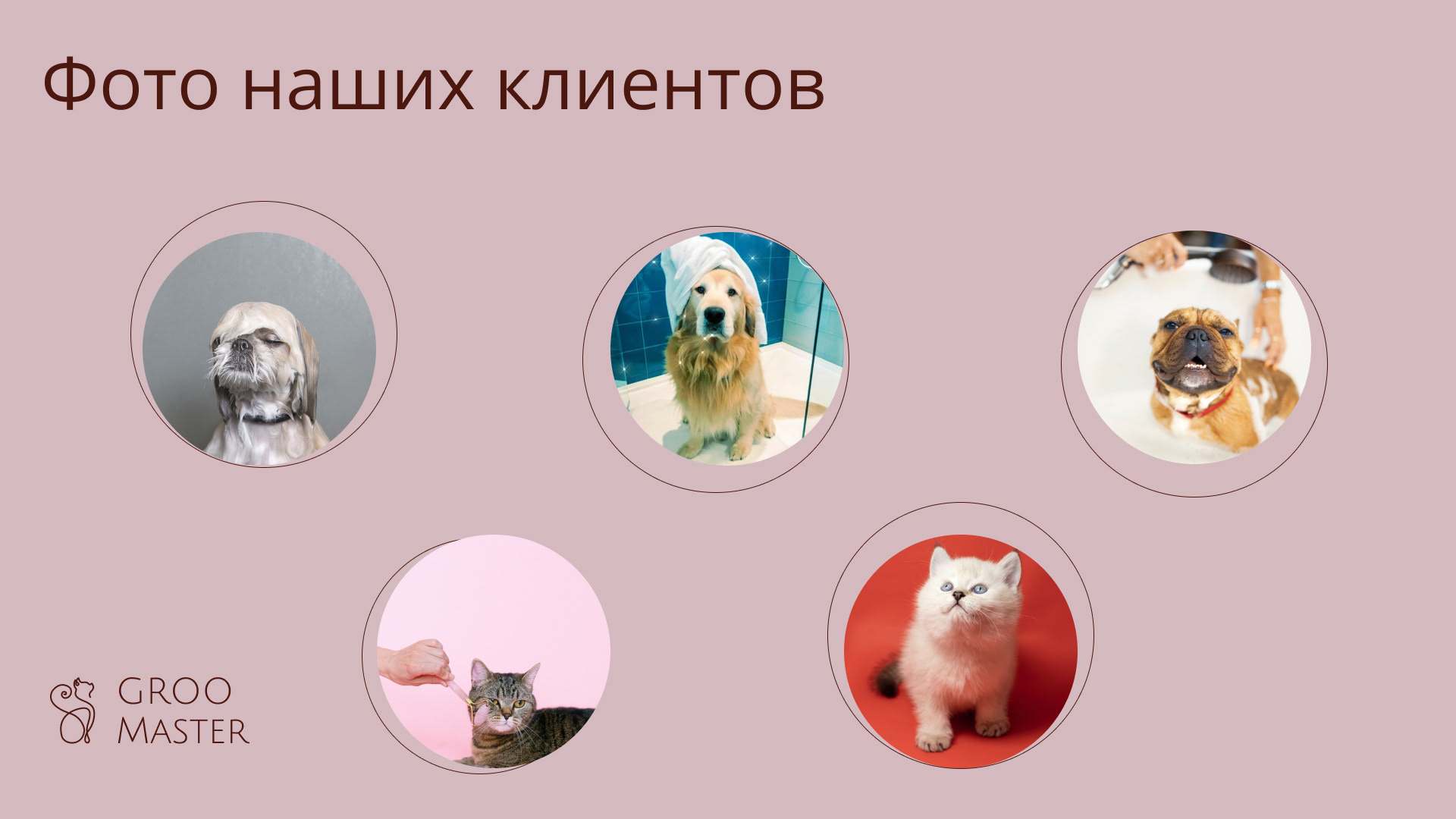 Design concept · GrooMaster — Изображение №8 — Брендинг, Маркетинг на Dprofile