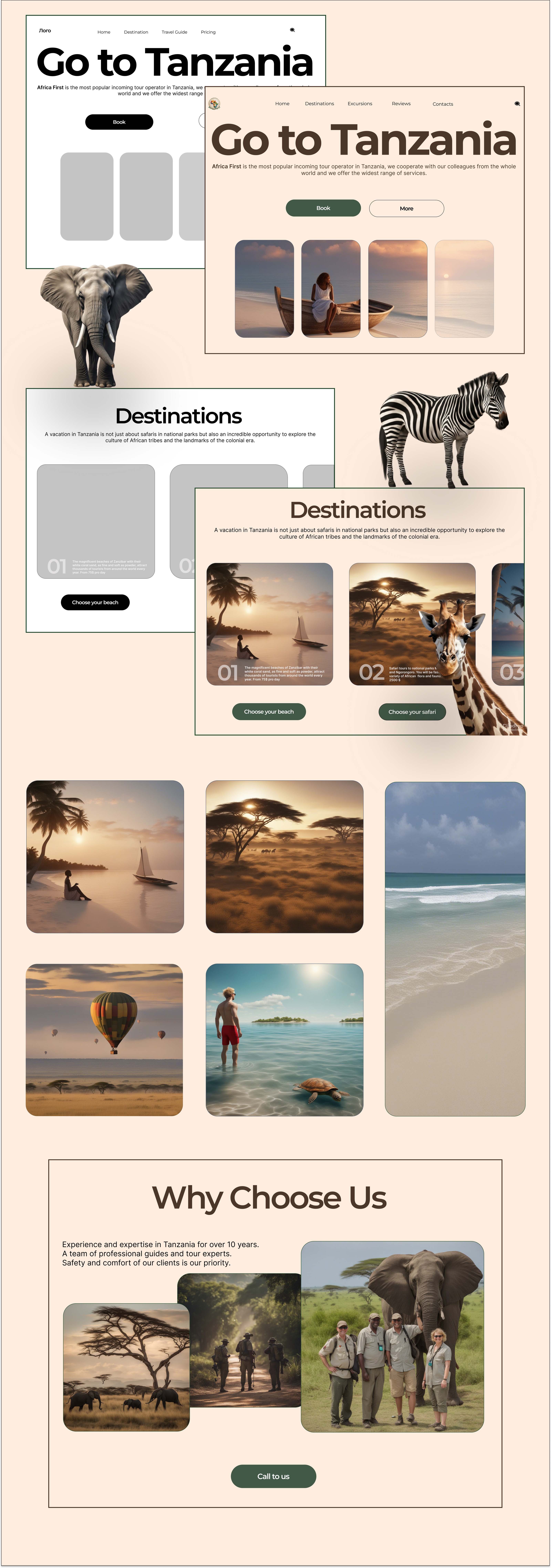 touristic Agency/Concept — Изображение №2 — Интерфейсы, Брендинг на Dprofile