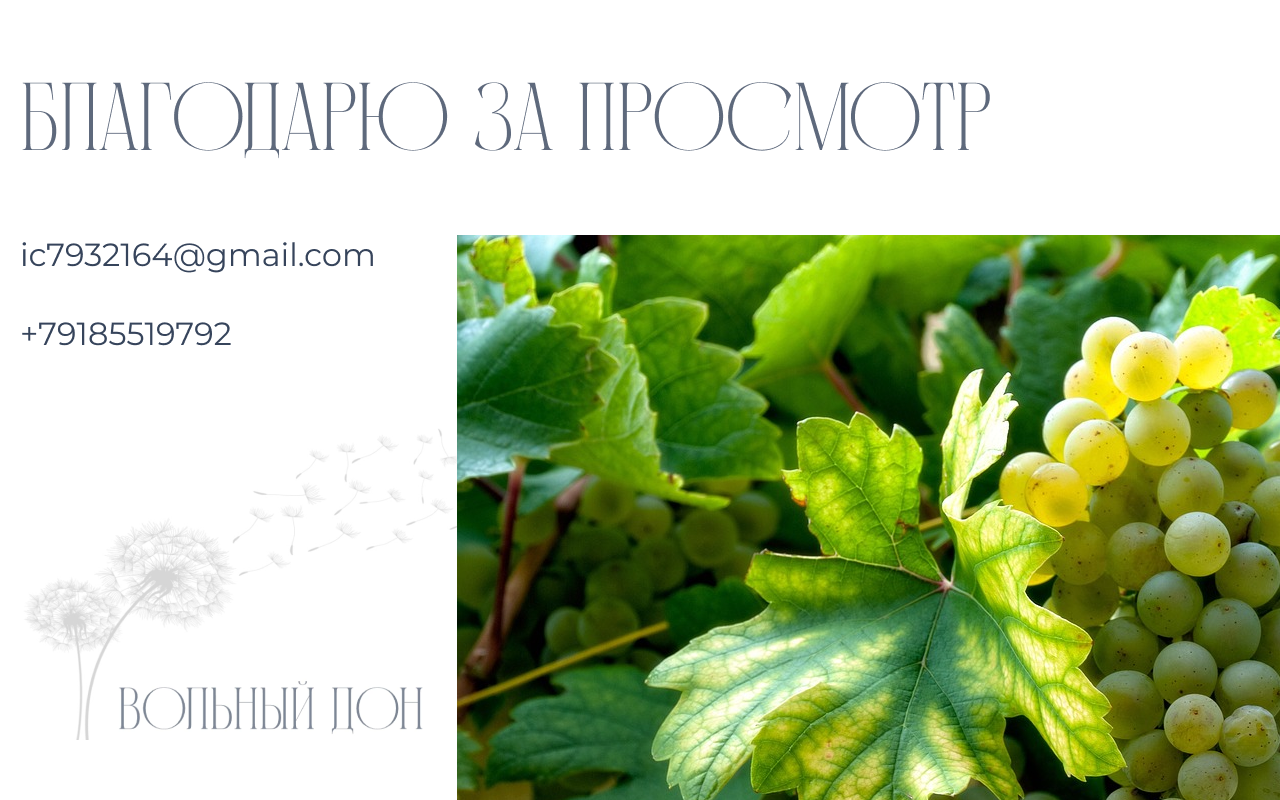 Лендинг для автора — Изображение №6 — Интерфейсы, Графика на Dprofile