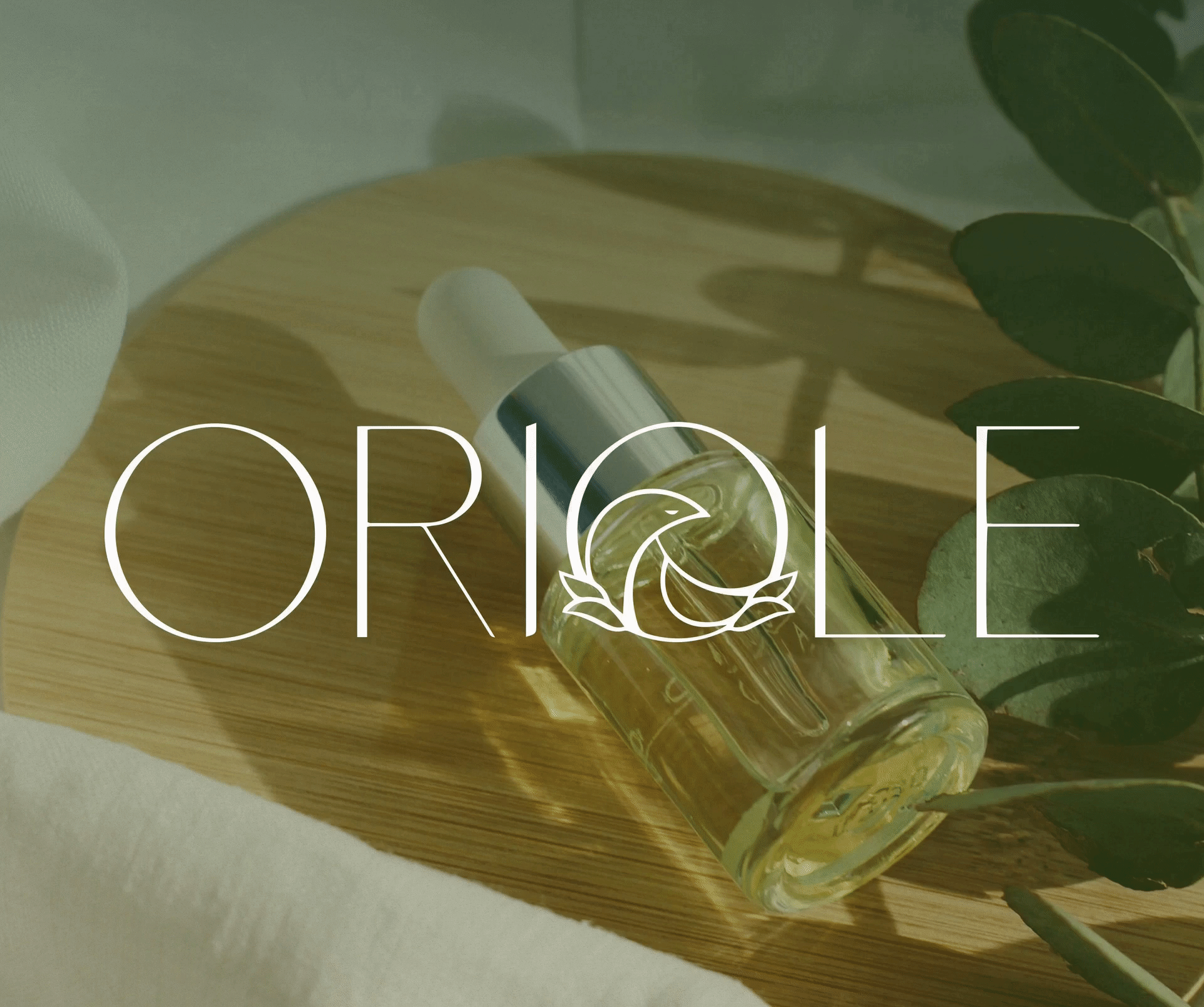 Oriole — Изображение №6 — Брендинг, Графика на Dprofile