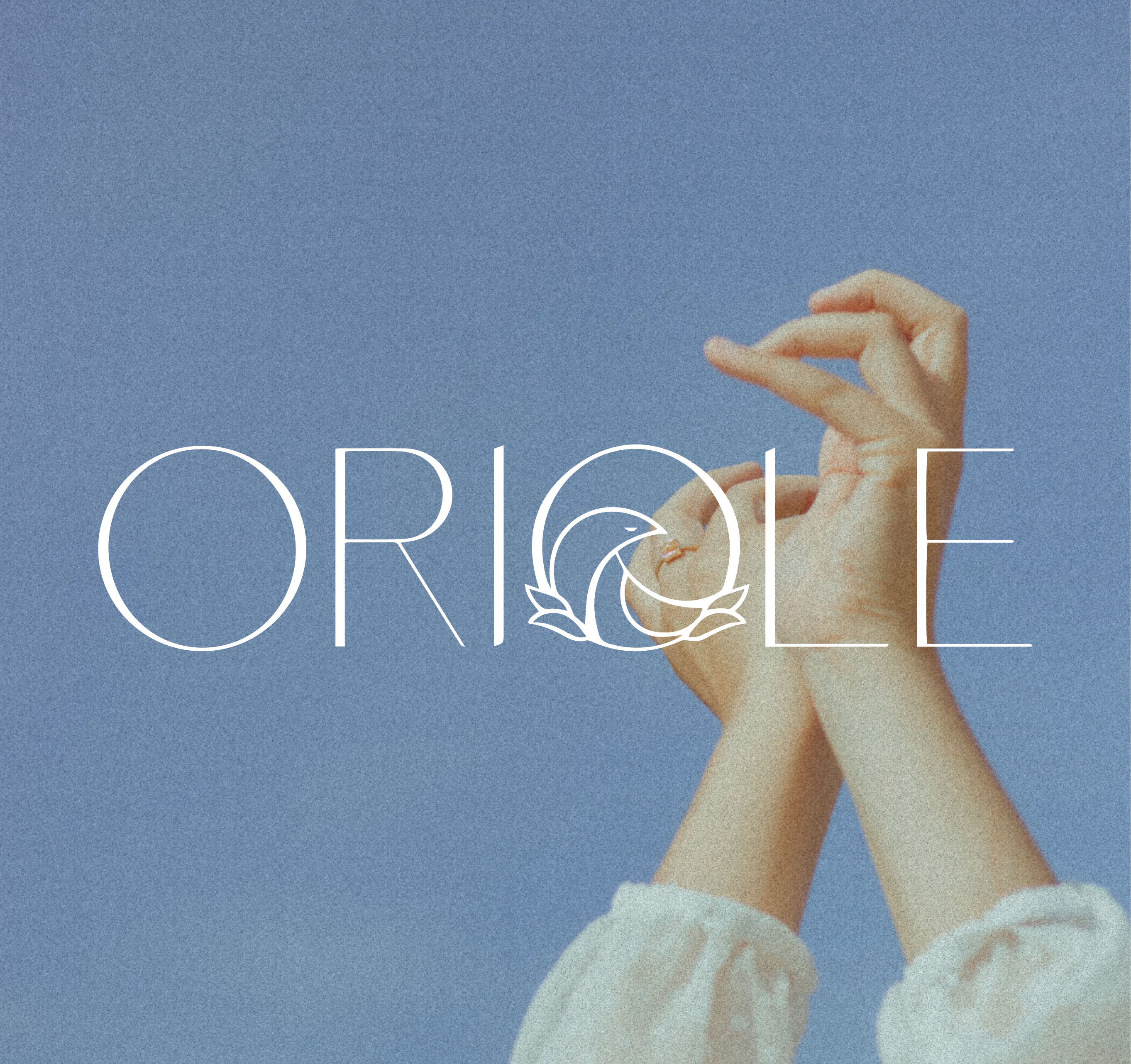 Oriole — Изображение №1 — Брендинг, Графика на Dprofile