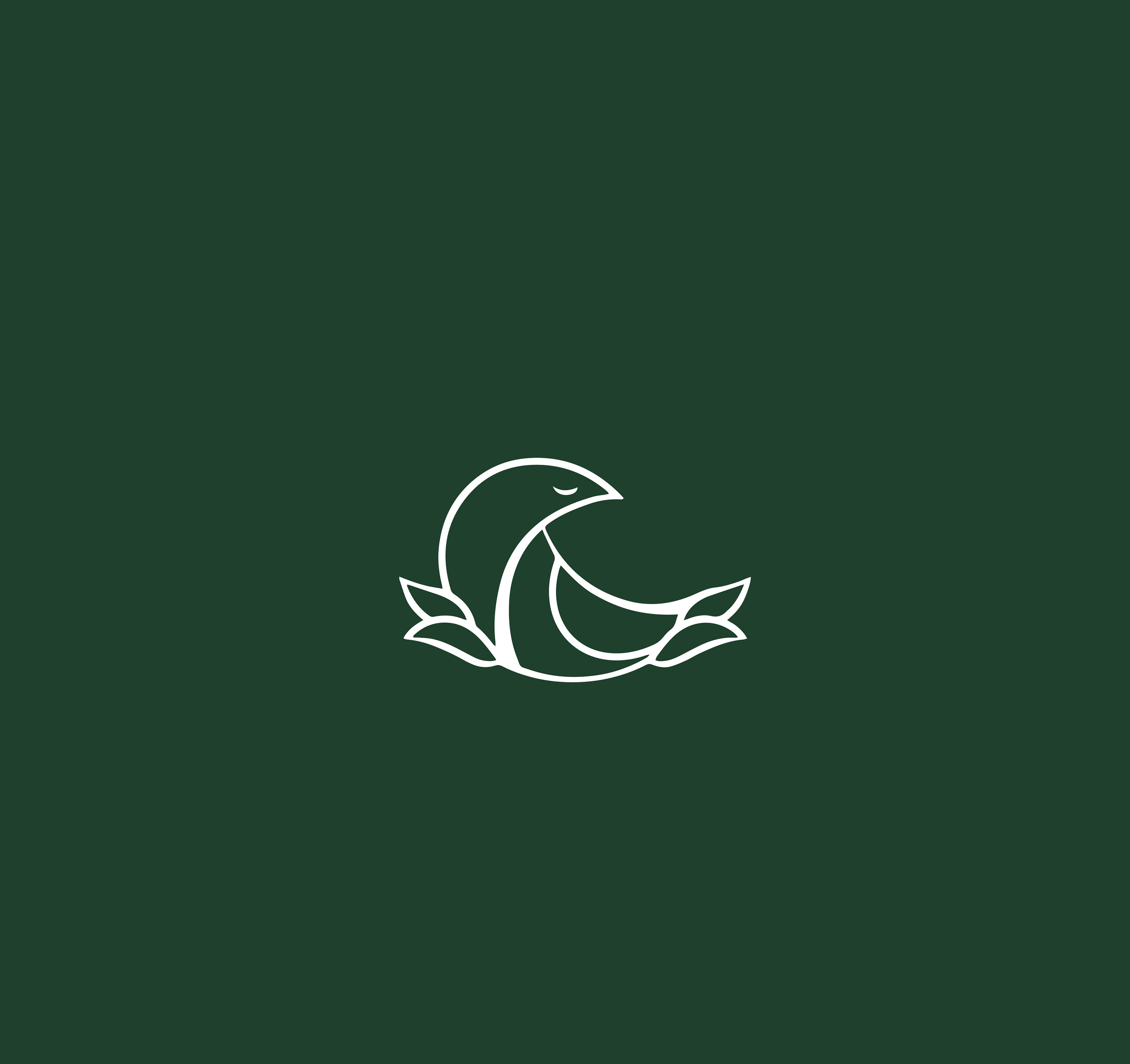 Oriole — Изображение №5 — Брендинг, Графика на Dprofile