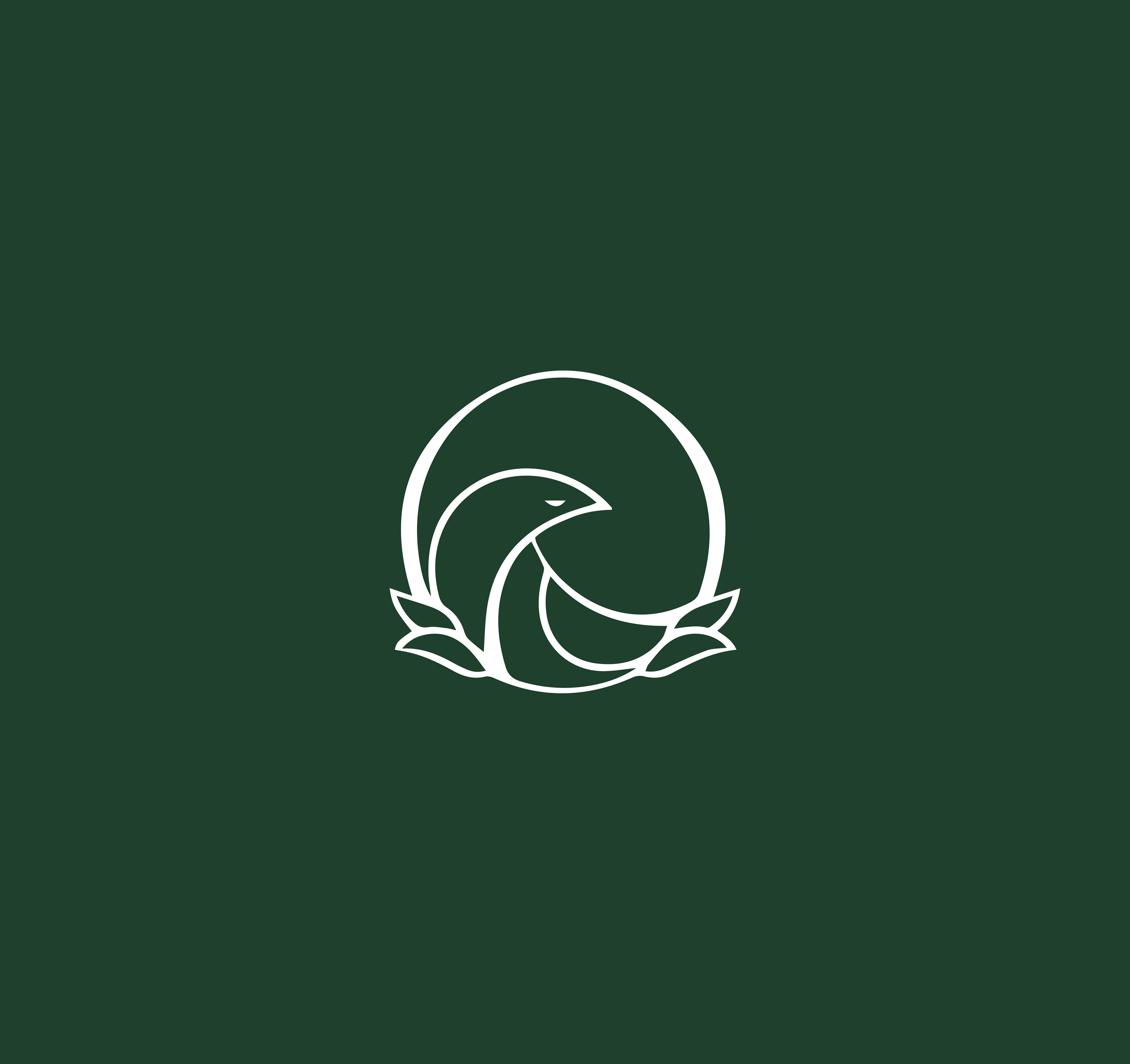 Oriole — Изображение №4 — Брендинг, Графика на Dprofile