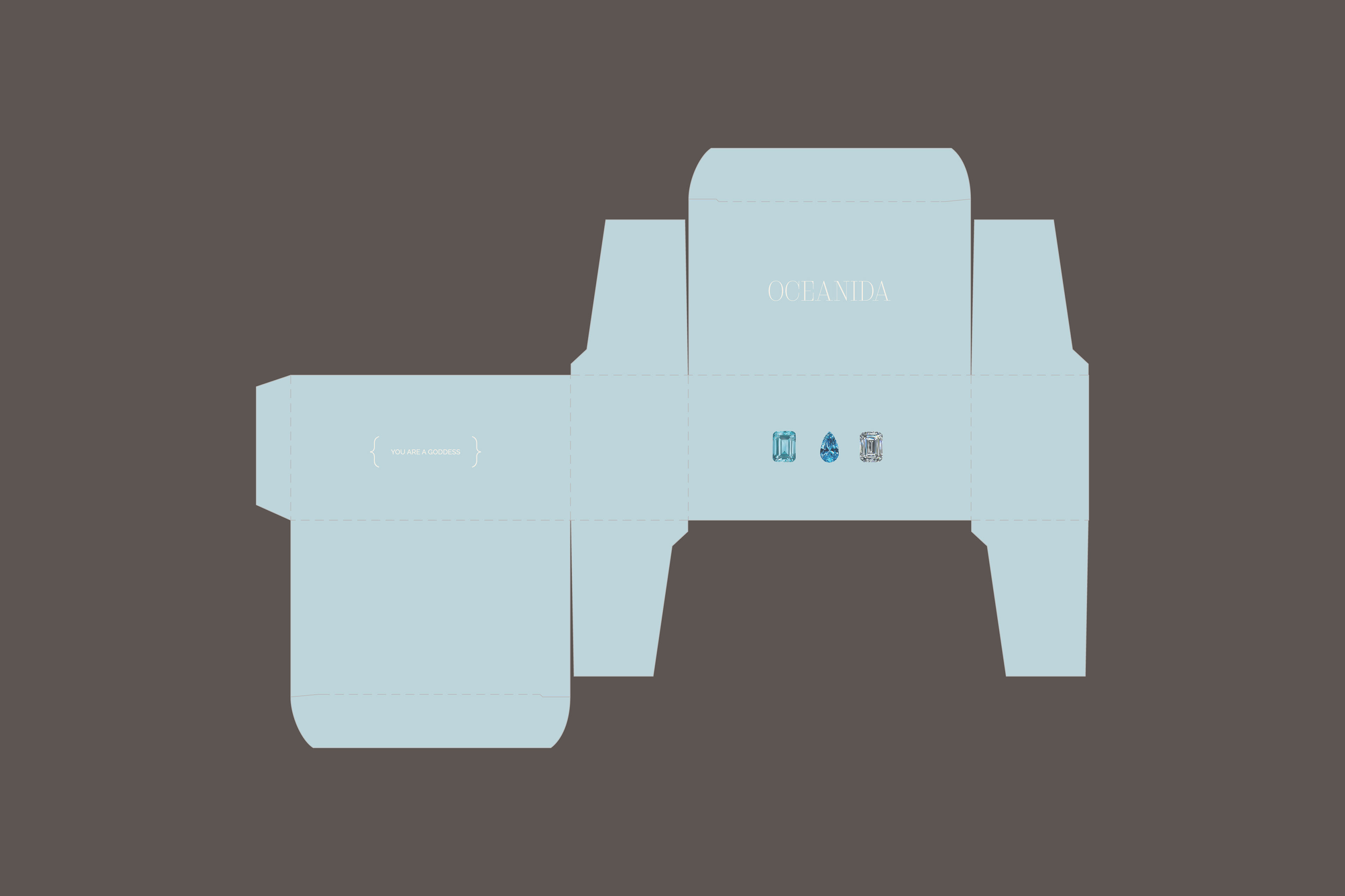 OCEANIDA бренд купальников/фирменный стиль/логотип — Изображение №8 — Брендинг, Графика на Dprofile