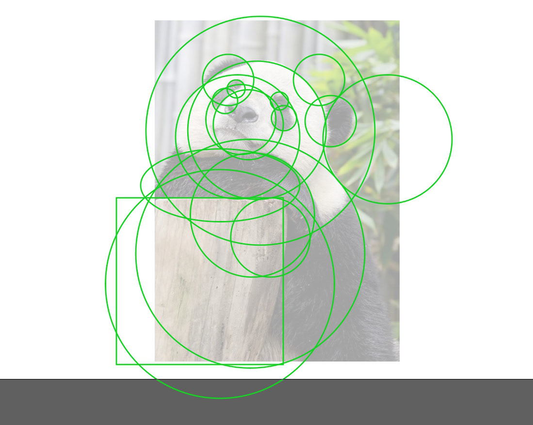 Maulu Brand Identity — Изображение №3 — Брендинг на Dprofile