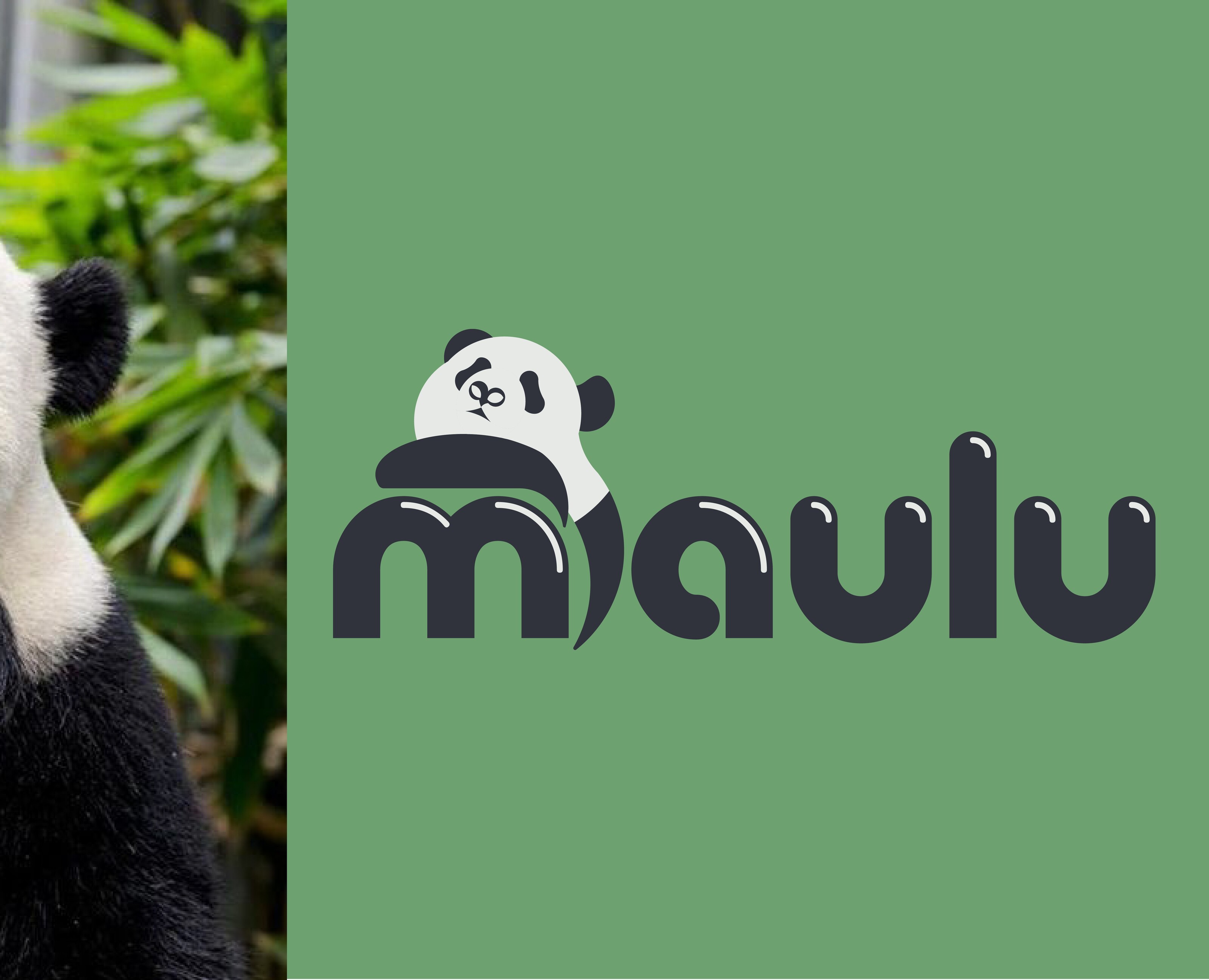Maulu Brand Identity — Брендинг на Dprofile