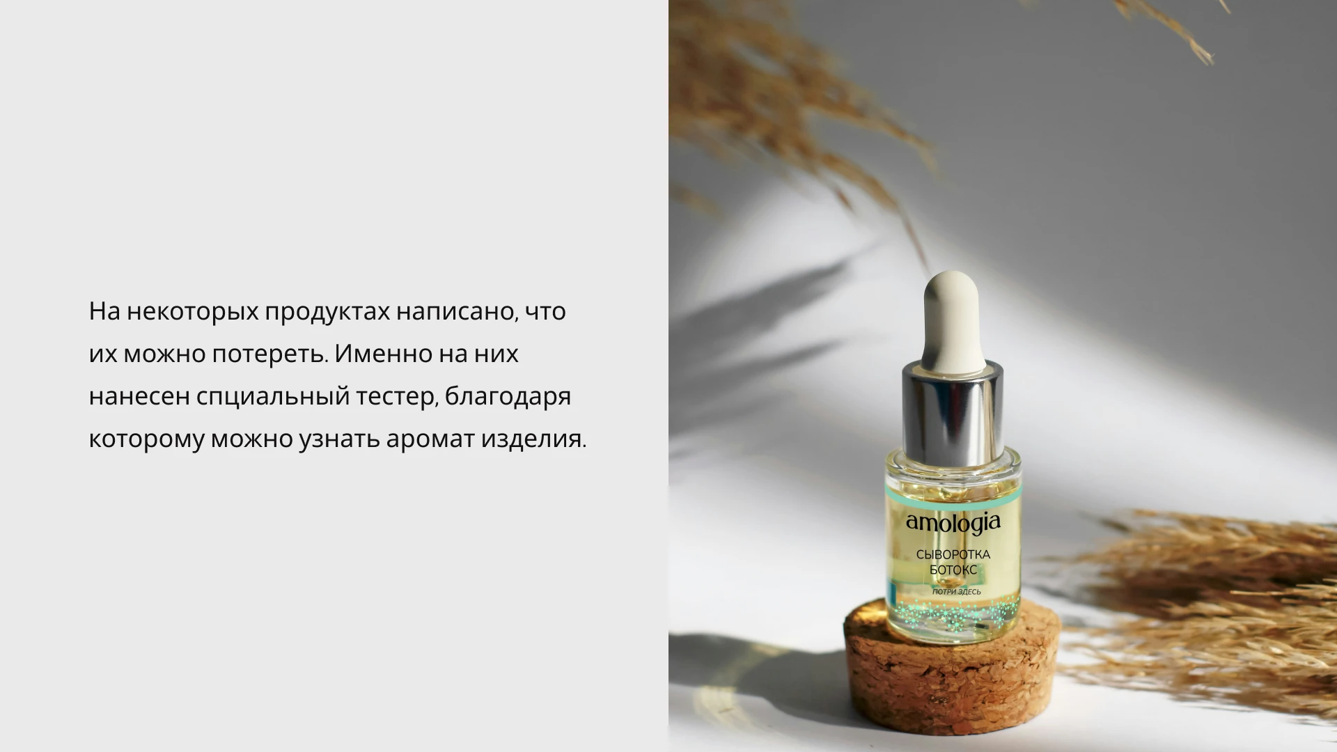 brand identity for skincare cosmetics — Изображение №8 — Брендинг на Dprofile