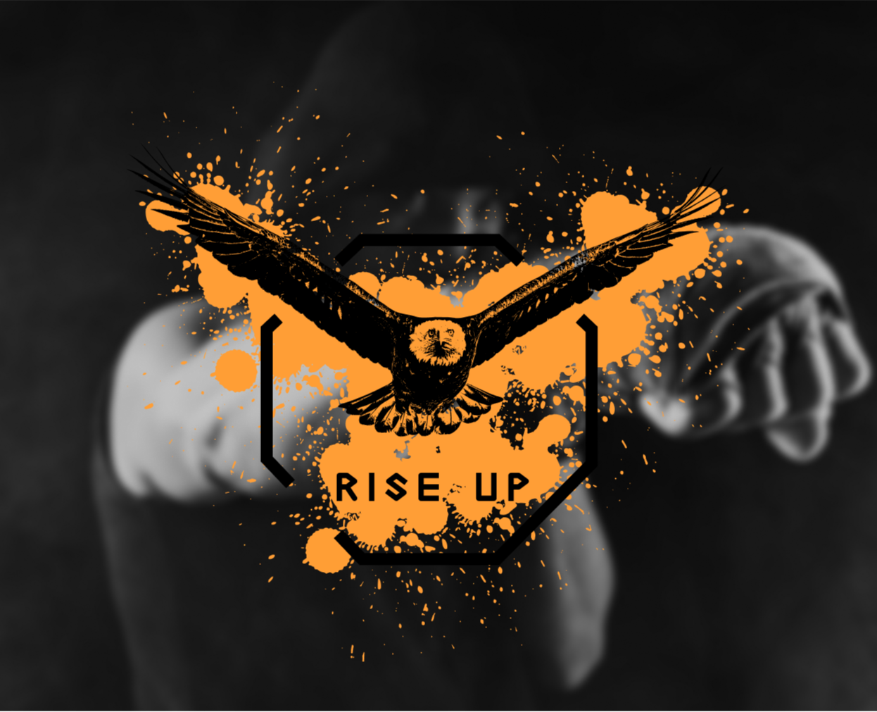 Бойцовский клуб RISE UP — Брендинг, Анимация на Dprofile