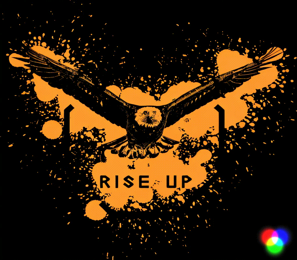 Бойцовский клуб RISE UP — Изображение №1 — Брендинг, Анимация на Dprofile