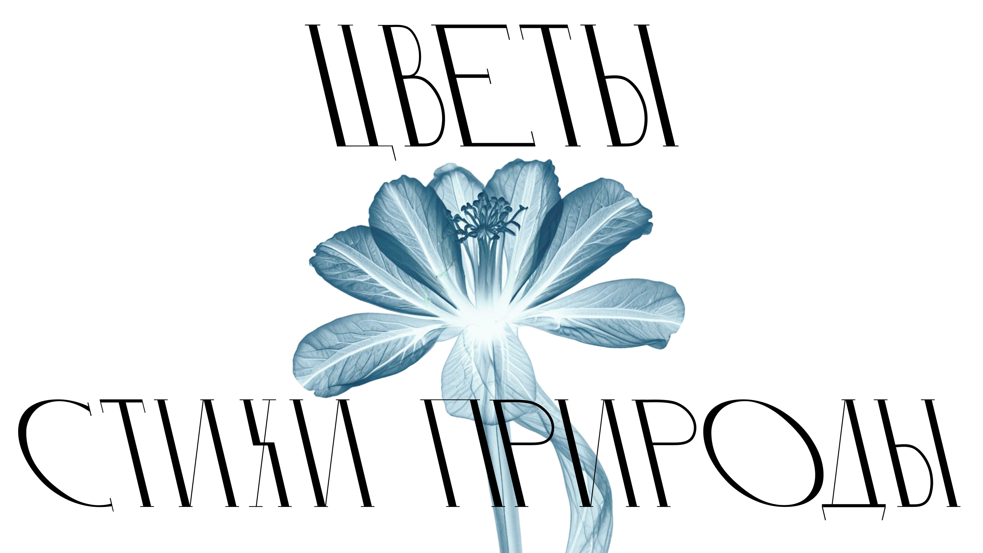 Шрифт МОДЕРН /  Typeface MODERN — Изображение №6 — Графика на Dprofile