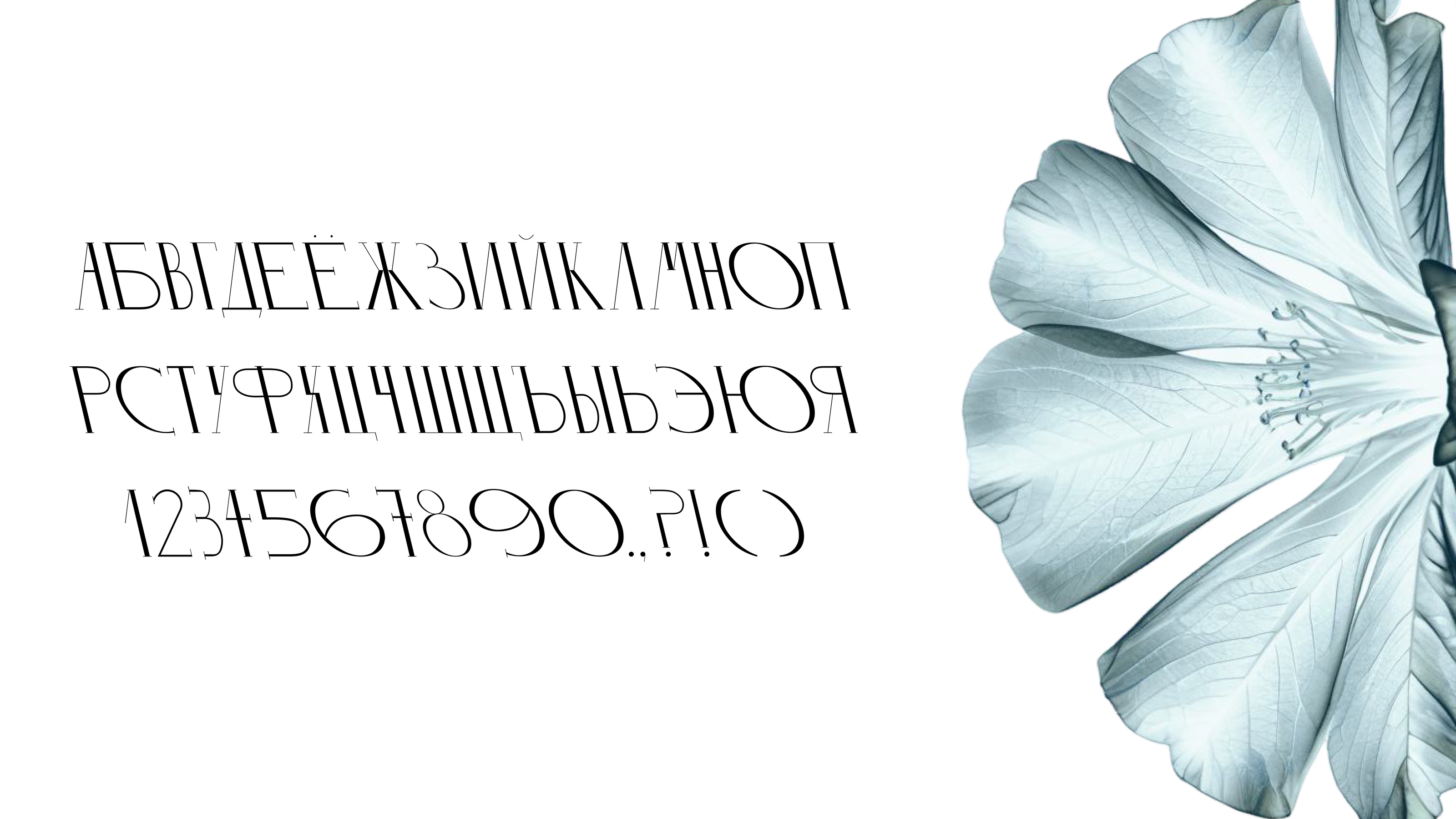 Шрифт МОДЕРН /  Typeface MODERN — Изображение №4 — Графика на Dprofile