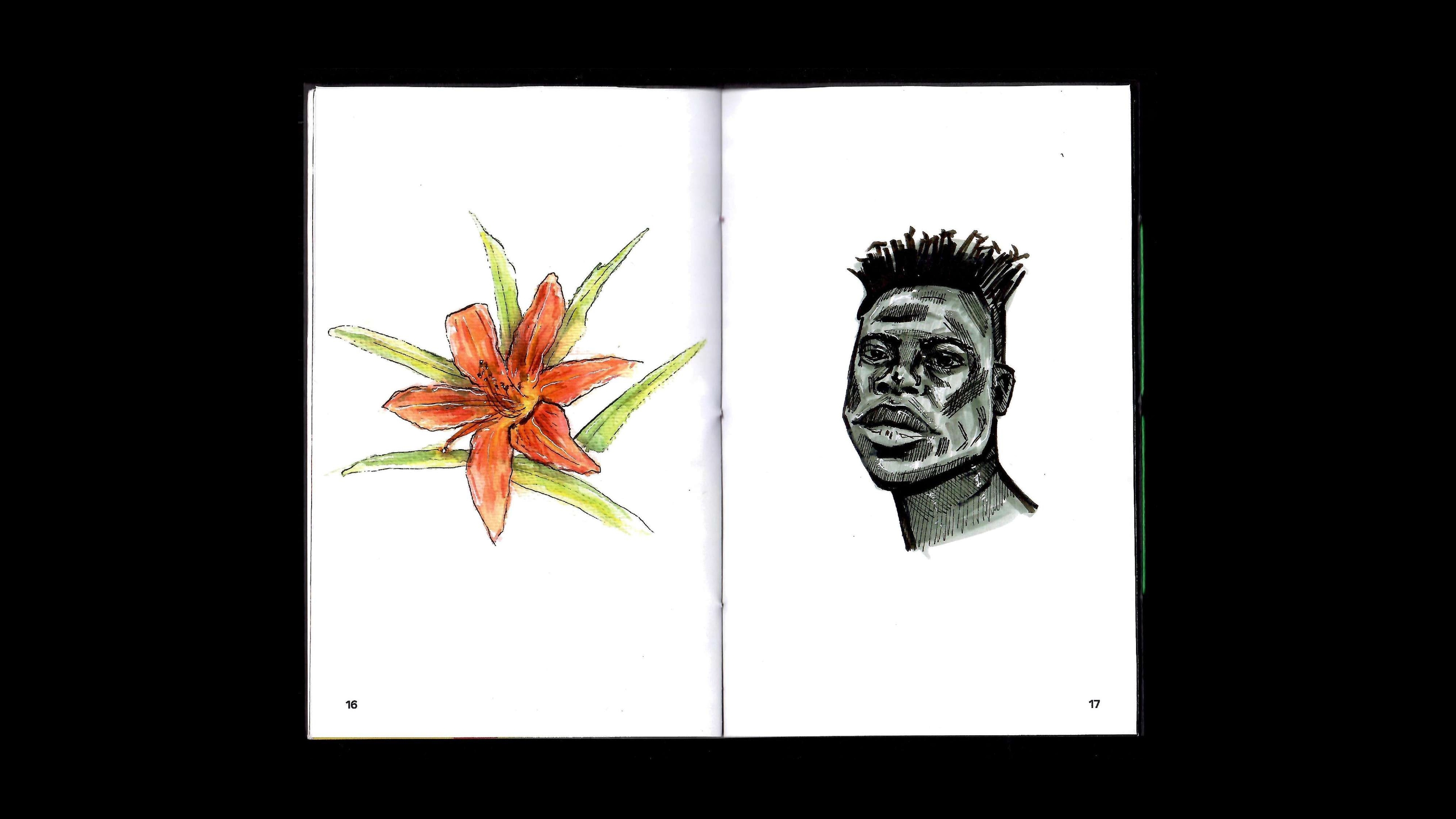 Портфолио-гармошка / Portfolio book — Изображение №15 — Графика на Dprofile