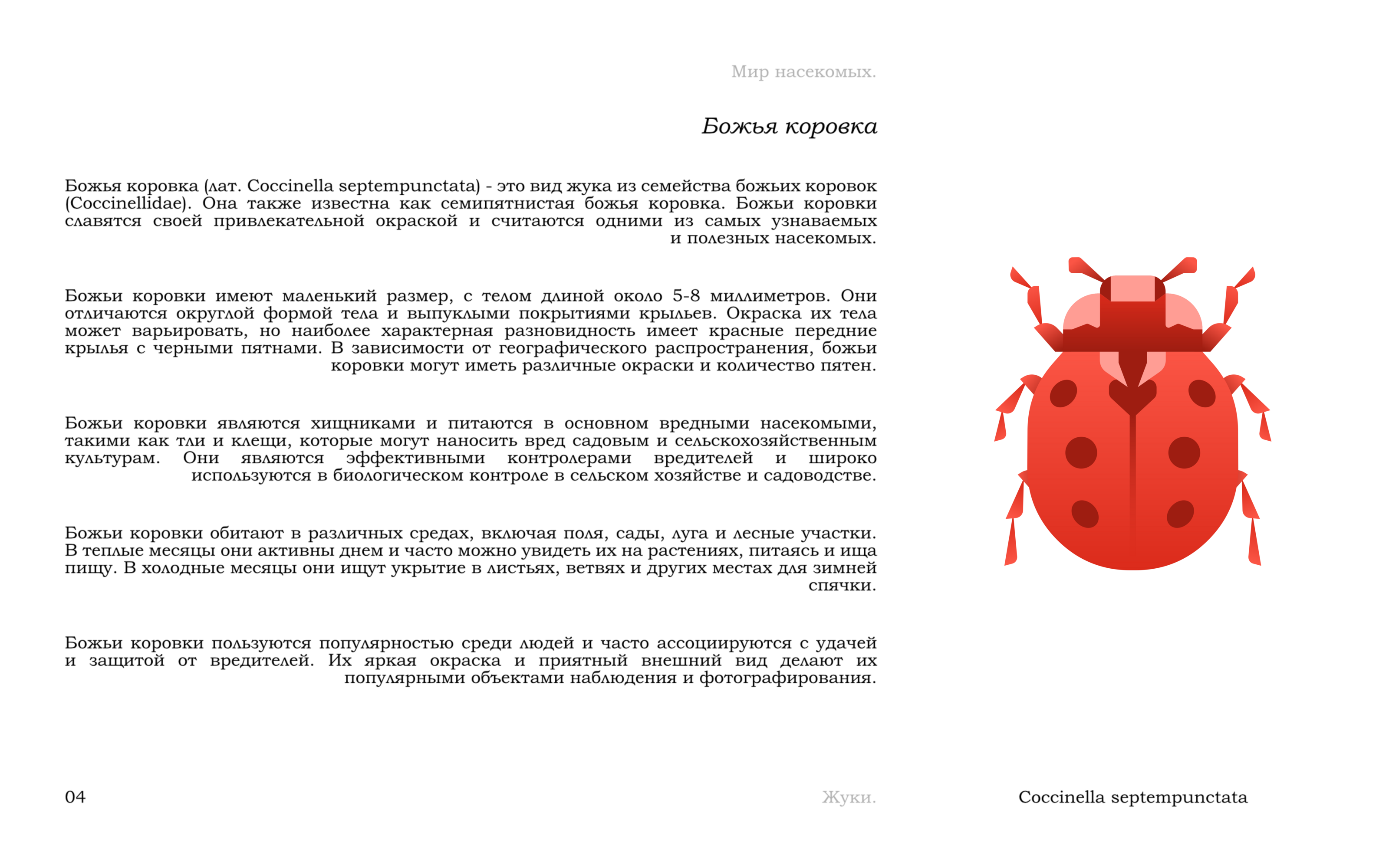 Жуки — Изображение №7 — Иллюстрация, Графика на Dprofile