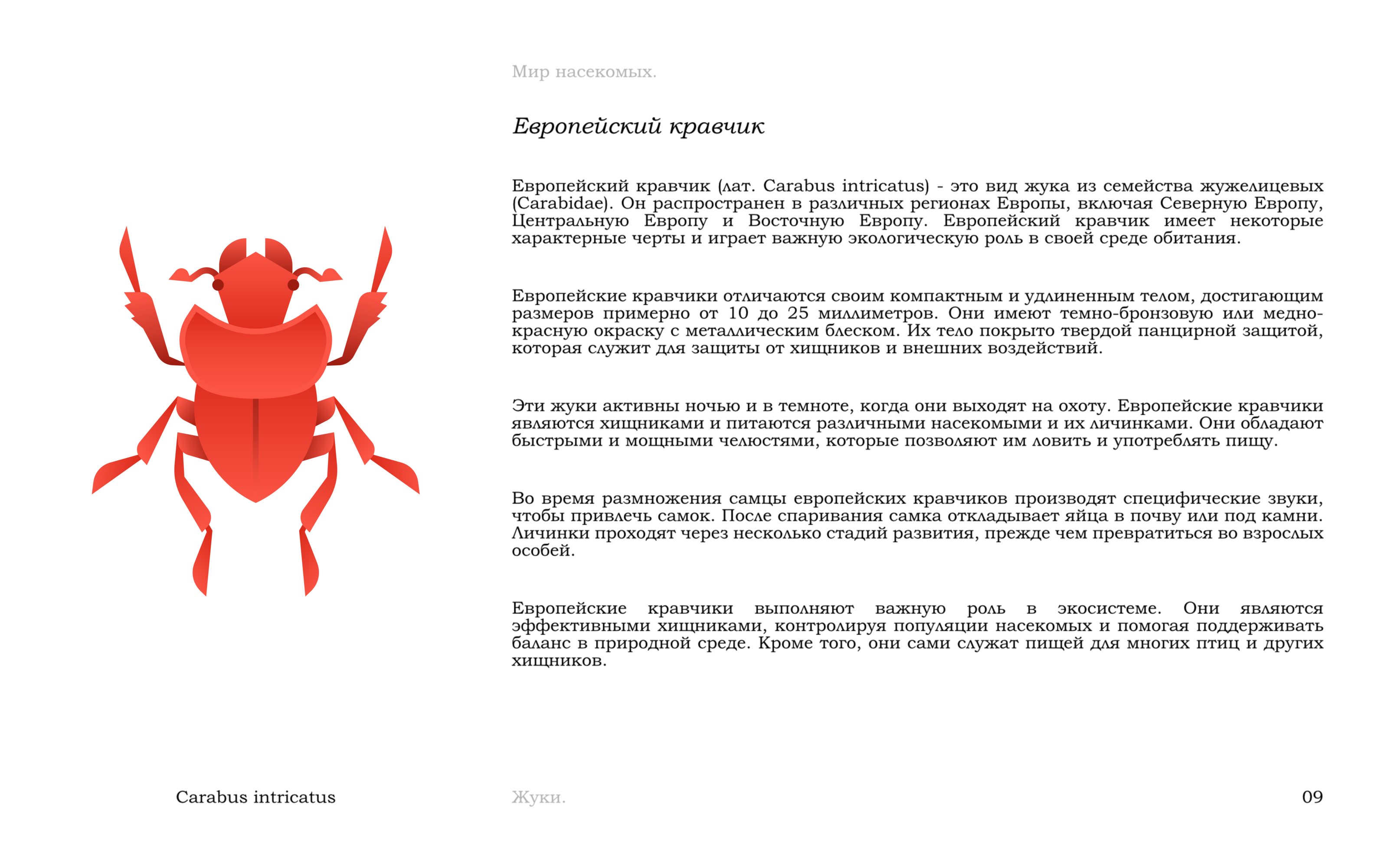 Жуки — Изображение №12 — Иллюстрация, Графика на Dprofile