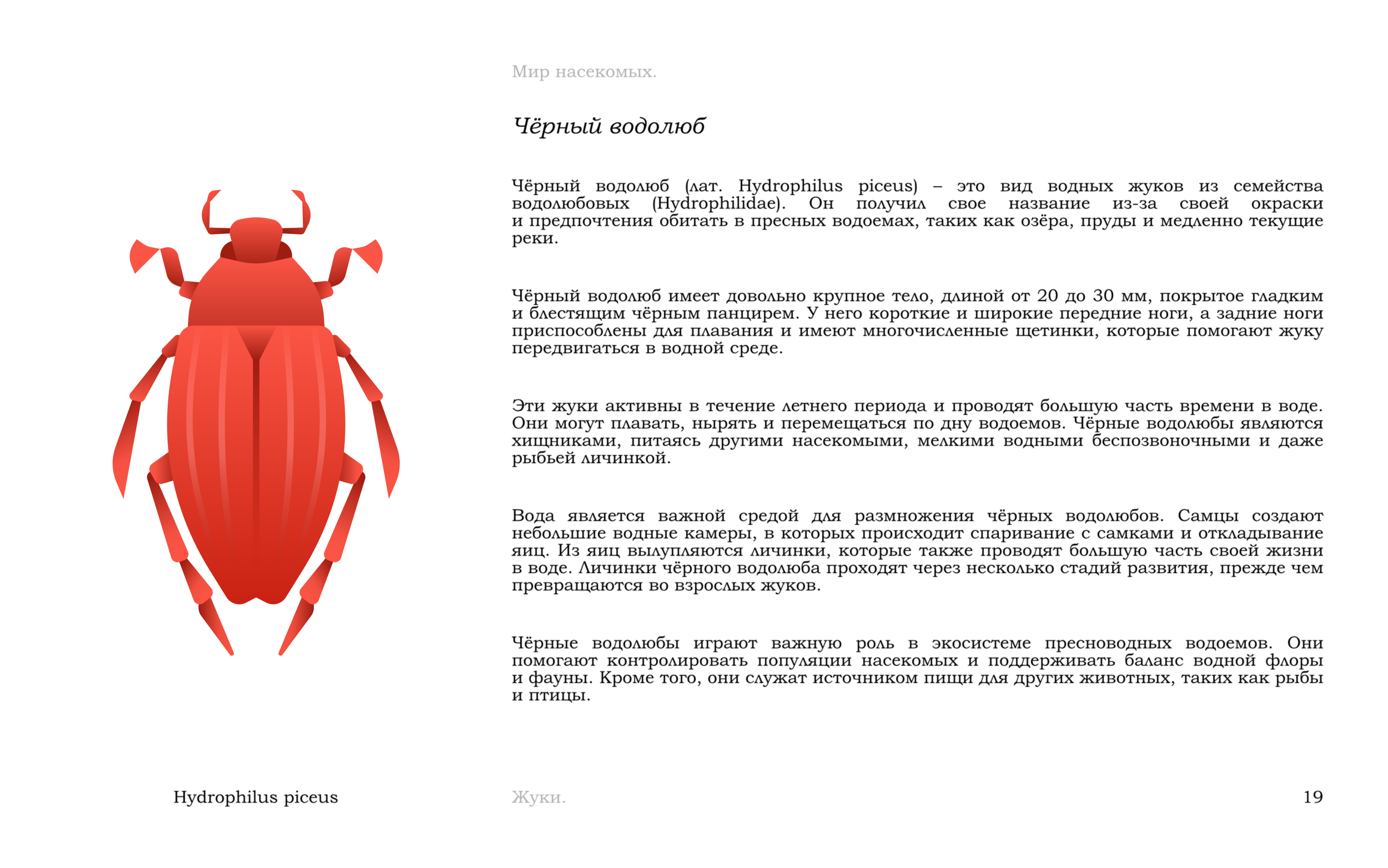 Жуки — Изображение №22 — Иллюстрация, Графика на Dprofile