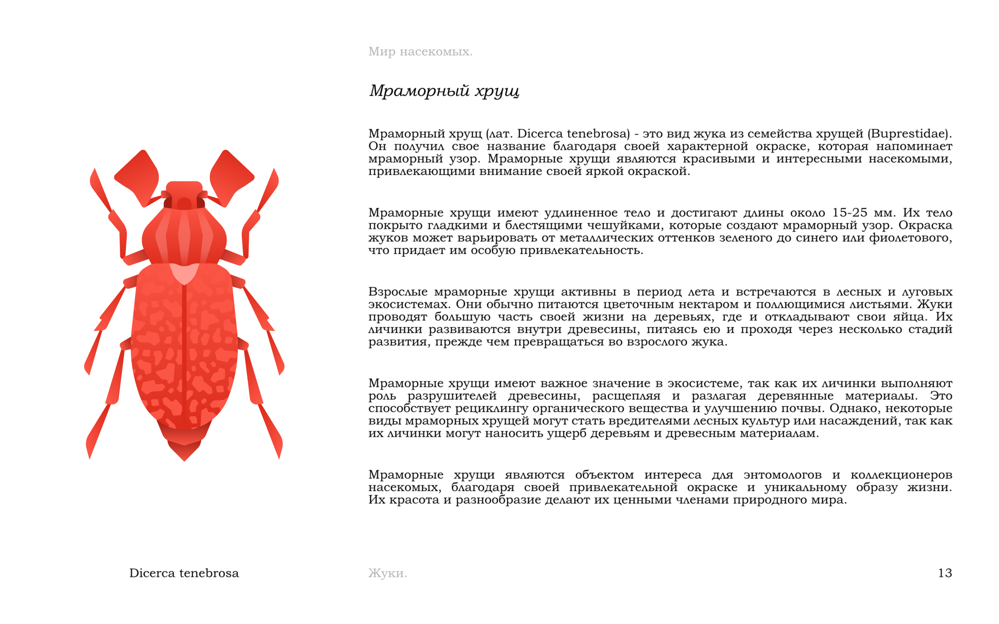 Жуки — Изображение №16 — Иллюстрация, Графика на Dprofile