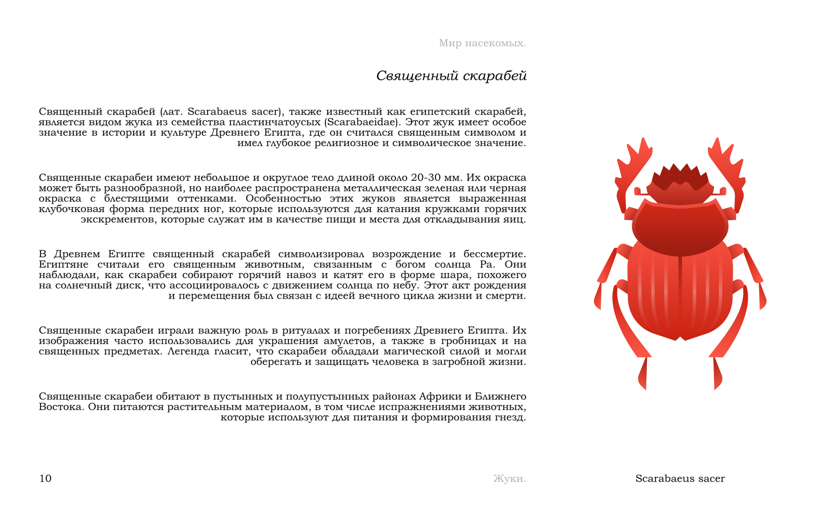 Жуки — Изображение №13 — Иллюстрация, Графика на Dprofile