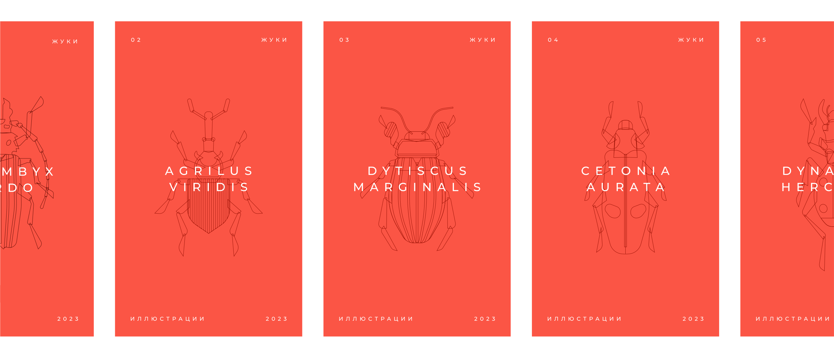 Жуки — Изображение №2 — Иллюстрация, Графика на Dprofile