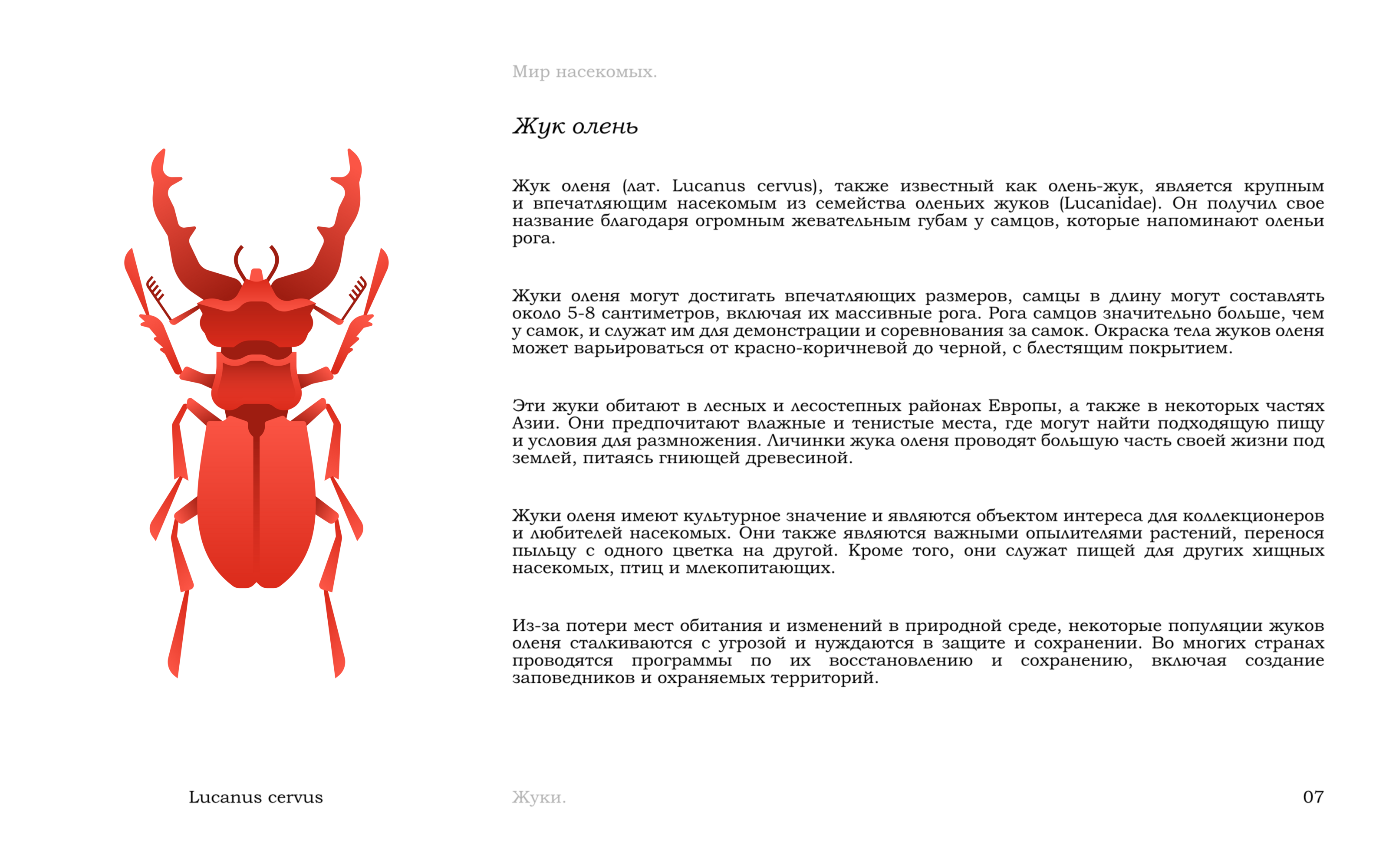 Жуки — Изображение №10 — Иллюстрация, Графика на Dprofile